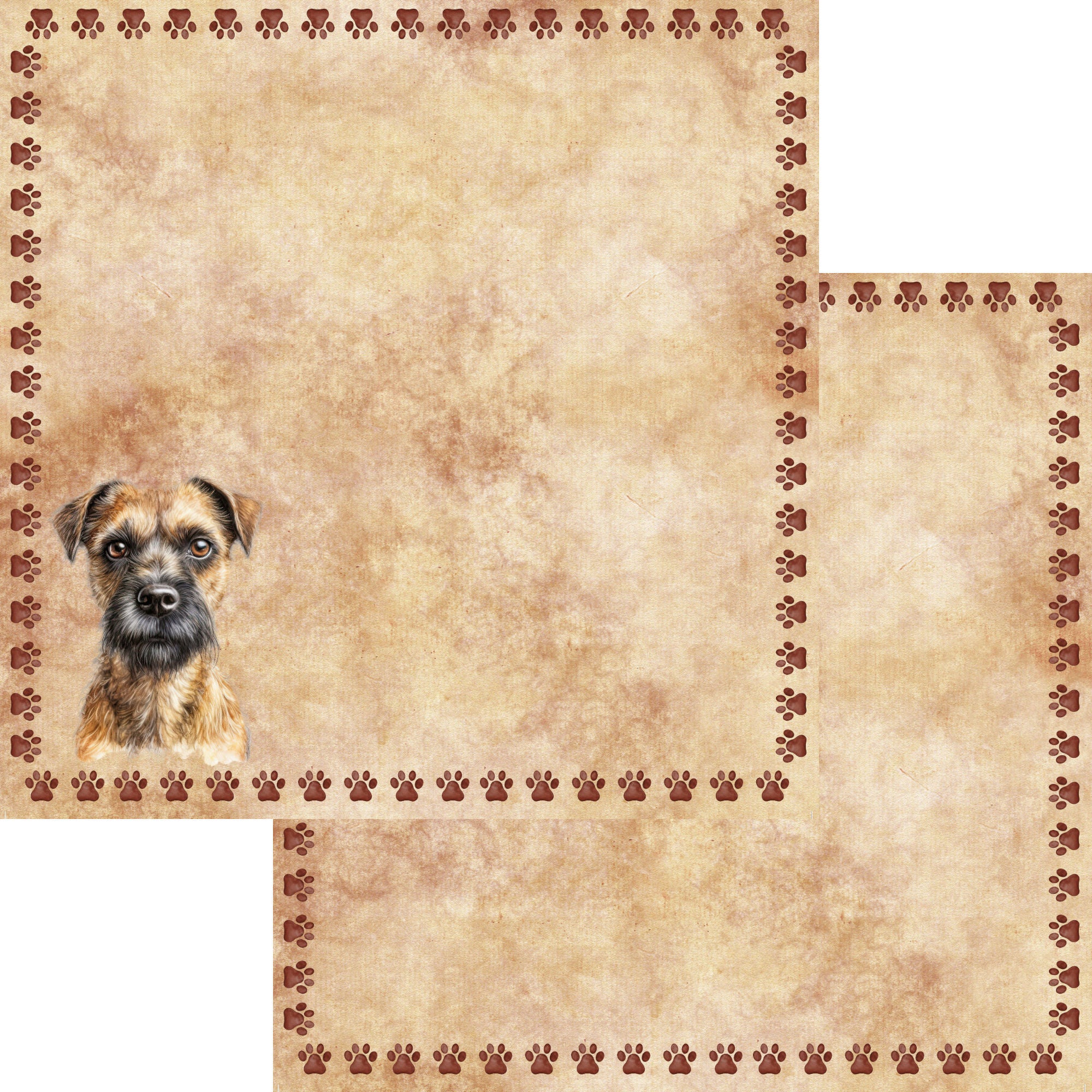 Dog Breeds Collection Border Terrier 12 x 12 Double-Sided Scrapbook Paper by SSC Designs