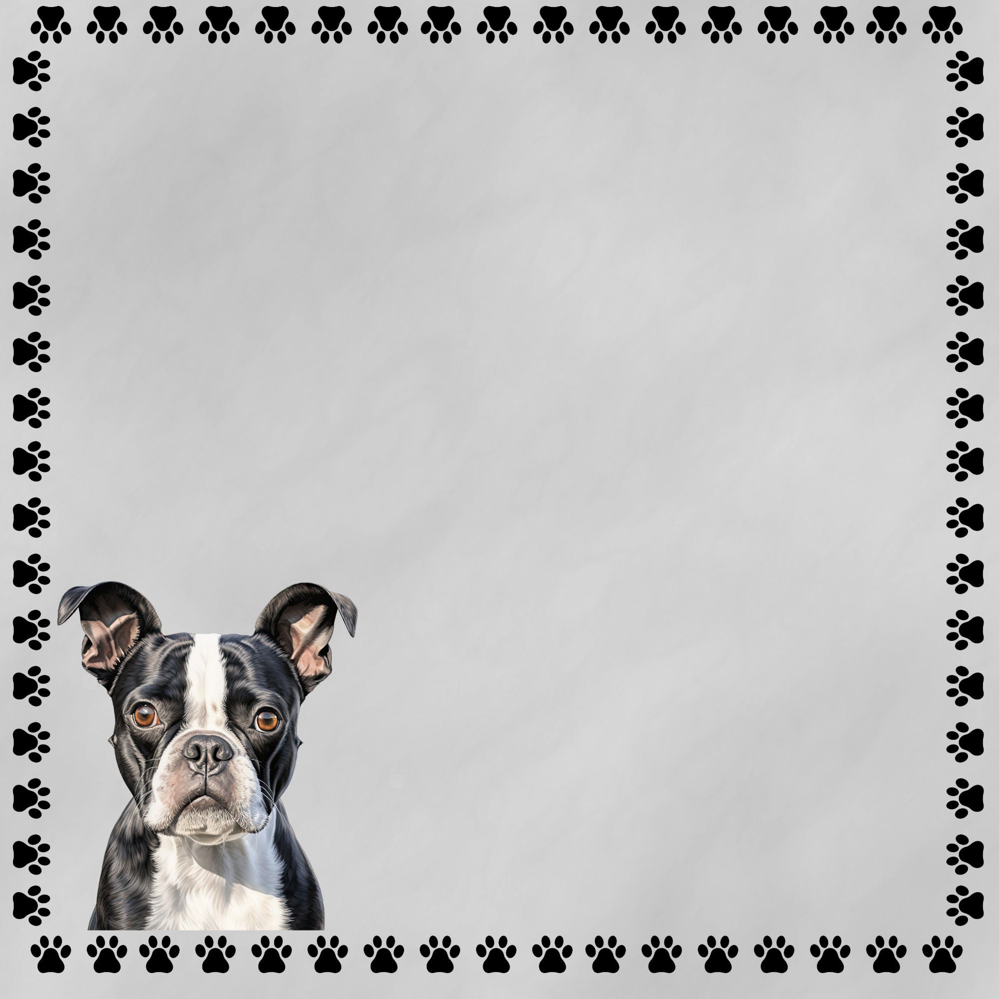 Dog Breeds Collection Boston Terrier 12 x 12 Double-Sided Scrapbook Paper by SSC Designs