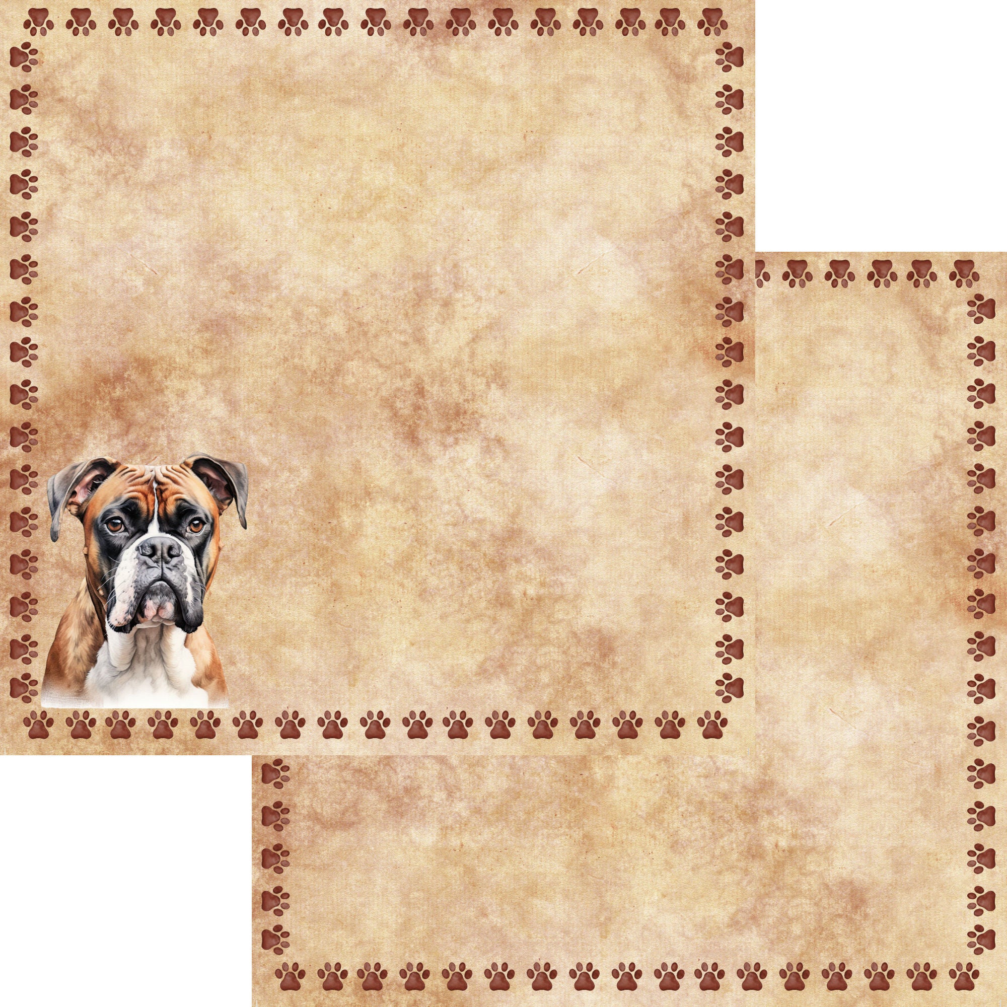 Dog Breeds Collection Boxer 12 x 12 Double-Sided Scrapbook Paper by SSC Designs