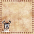 Dog Breeds Collection Boxer 12 x 12 Double-Sided Scrapbook Paper by SSC Designs