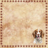 Dog Breeds Collection Brittany Spaniel 12 x 12 Double-Sided Scrapbook Paper by SSC Designs