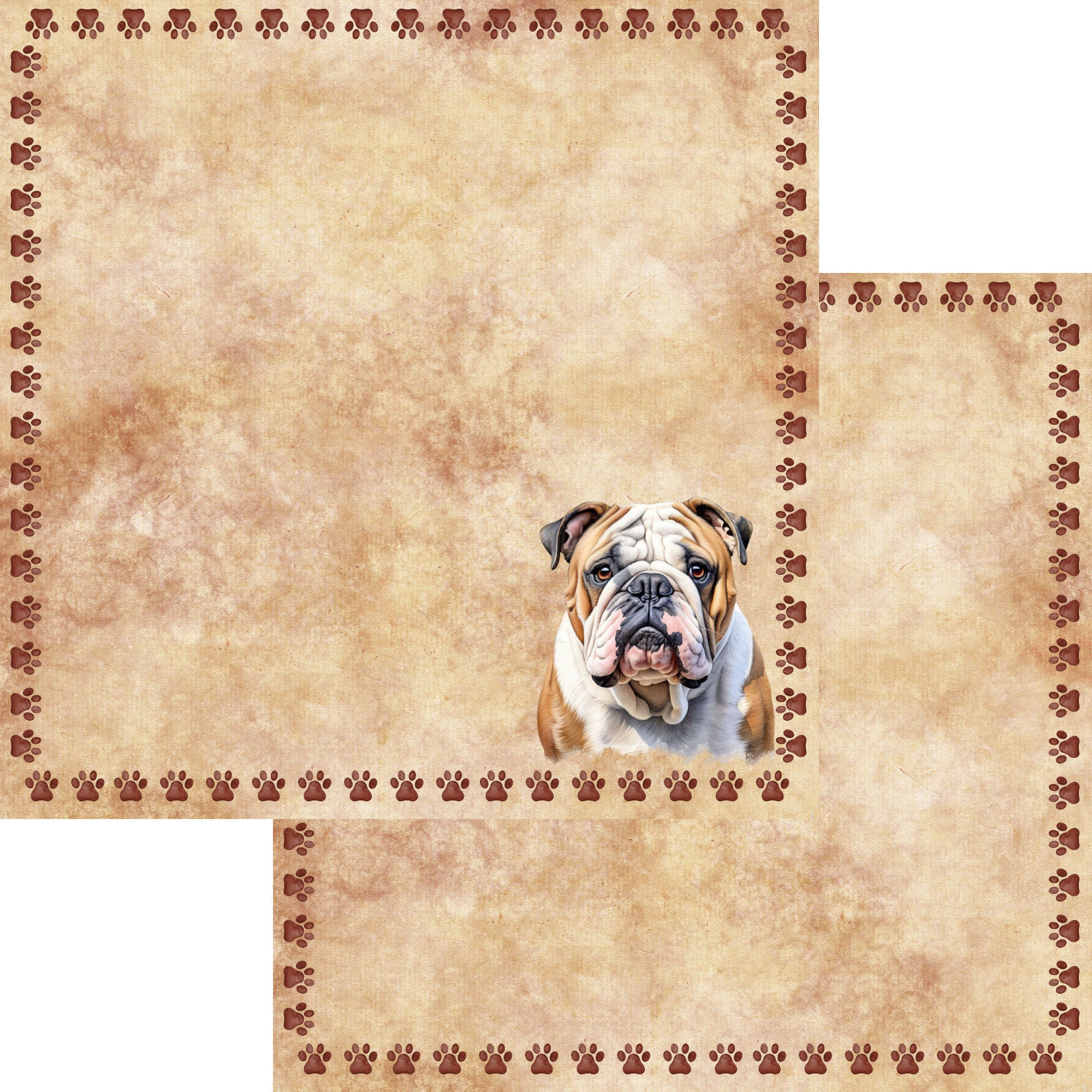 Dog Breeds Collection Bulldog 12 x 12 Double-Sided Scrapbook Paper by SSC Designs