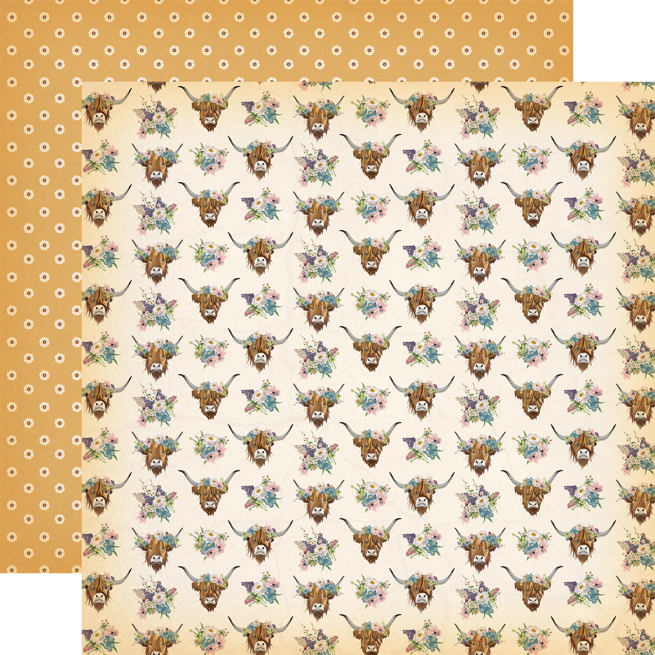 Cowgirl Collection 12 x 12 Scrapbook Collection Kit by Carta Bella - 13 Pieces
