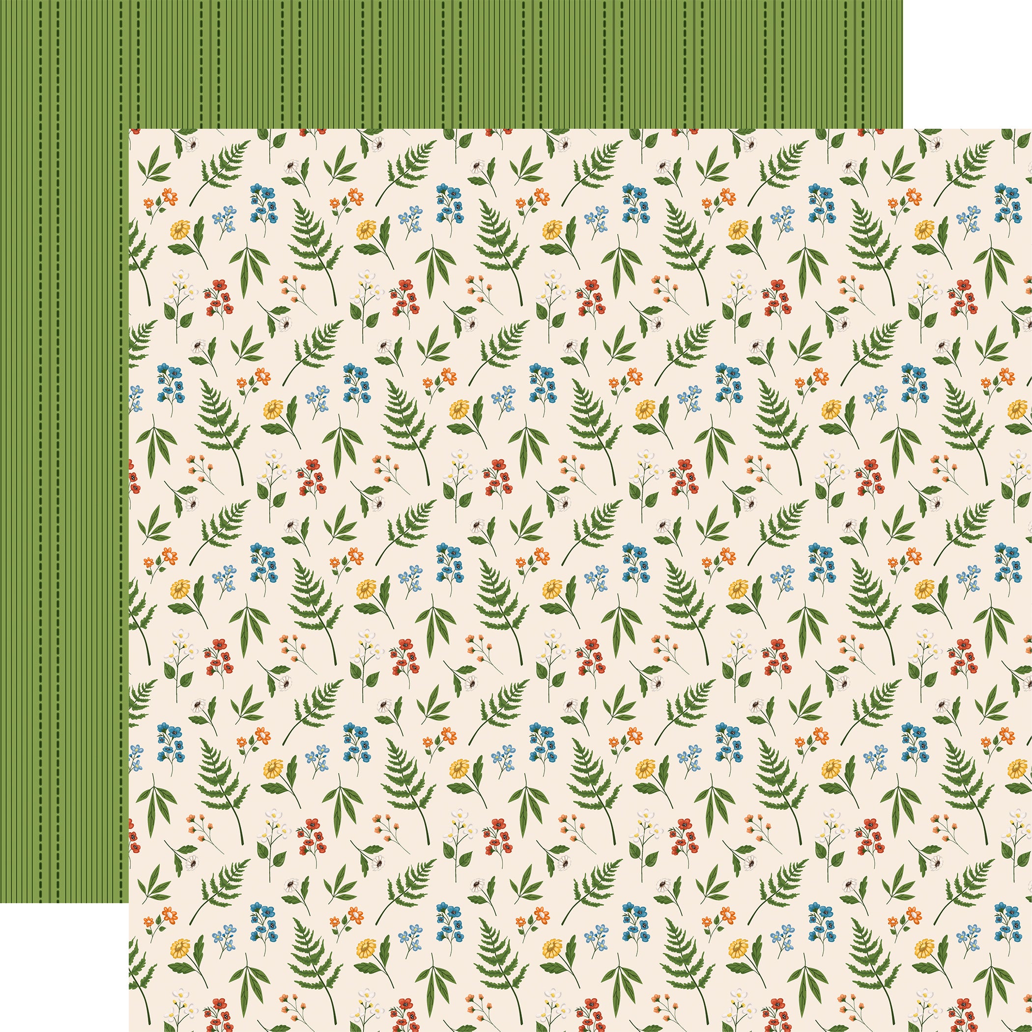 National Parks 12 x 12 Scrapbook Collection Kit by Carta Bella - 13 Pieces