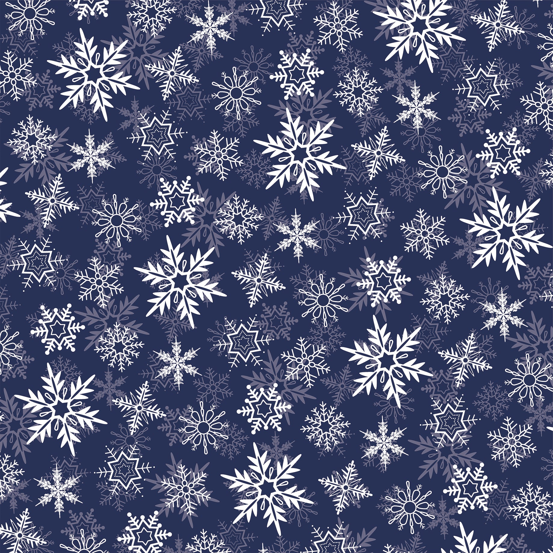 Wintertime Collection Frosted Day 12 x 12 Double-Sided Scrapbook Paper by Carta Bella