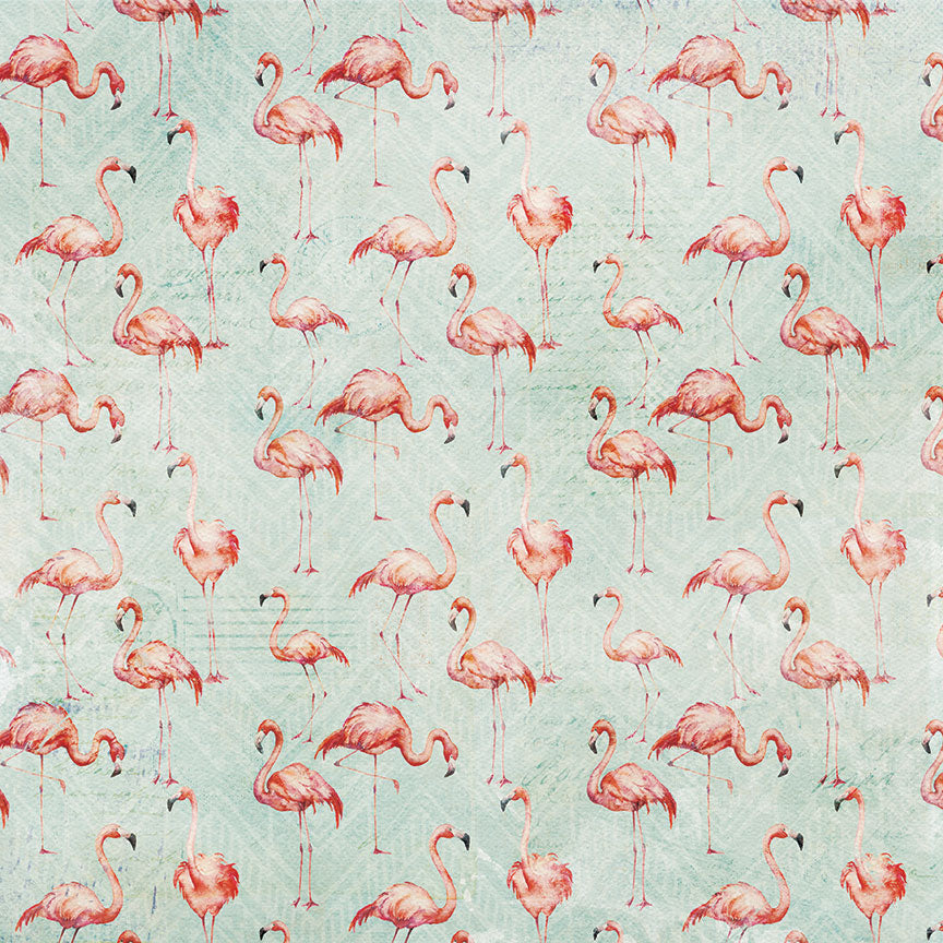Coco Paradise Collection Let's Flamingle 12 x 12 Double-Sided Scrapbook Paper by Photo Play Paper