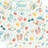 Creative Calendar Collection June 12x12 Double-Sided Scrapbook Paper by SSC Designs