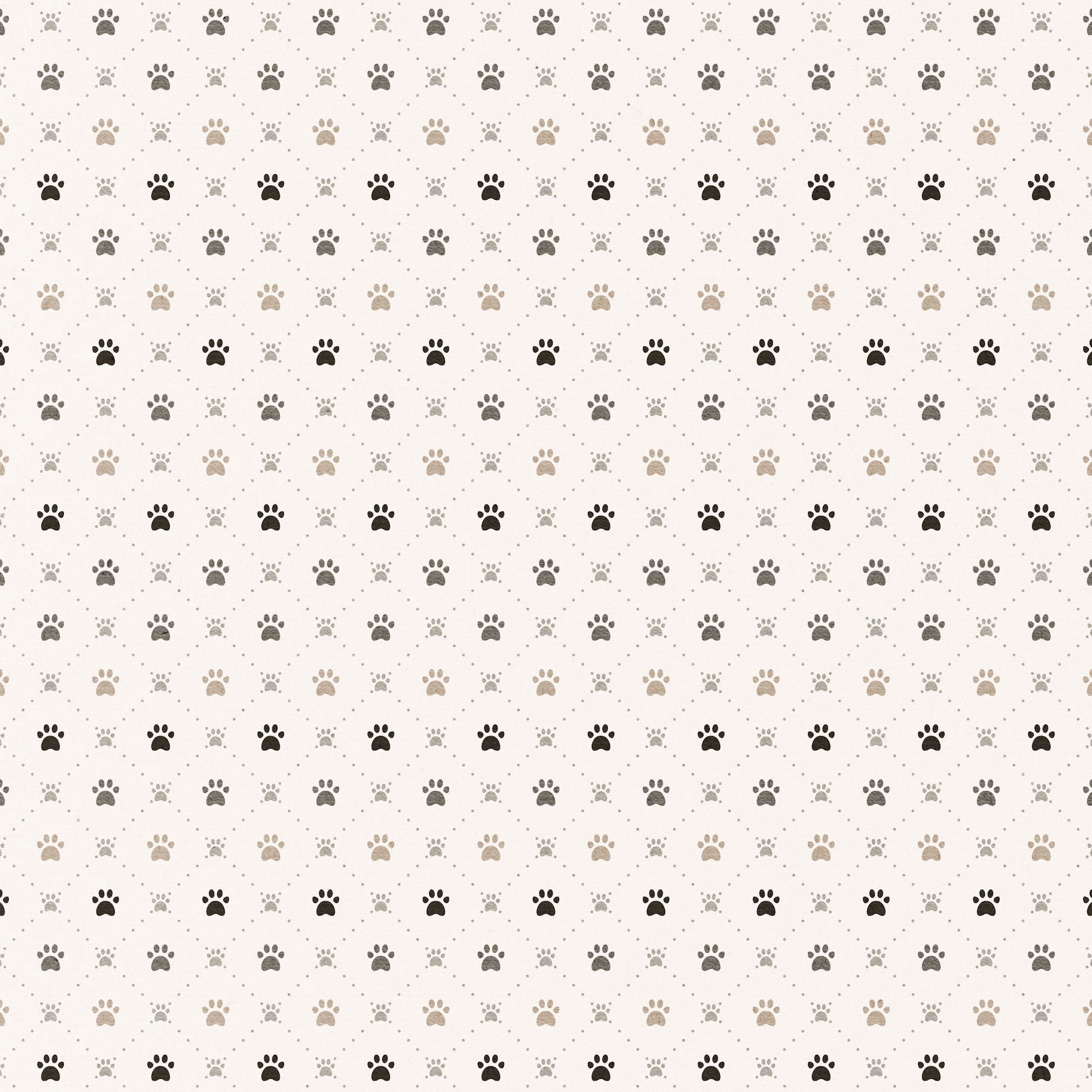 Cat Lover Collection Playful Purrs 12 x 12 Double-Sided Scrapbook Paper by SSC Designs