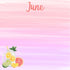 Calendar Memories Collection June 12 x 12 Double-Sided Scrapbook Paper by SSC Designs