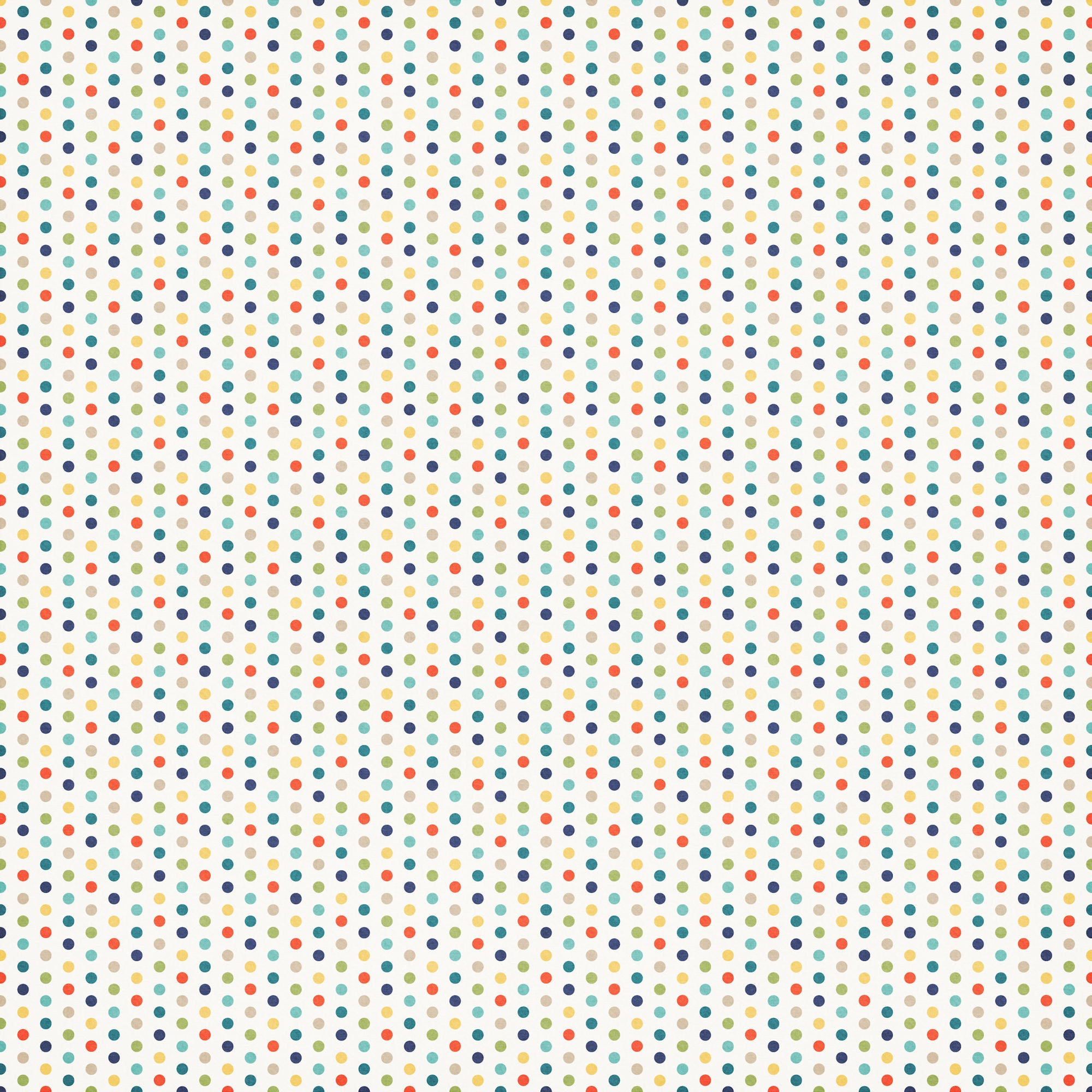 Gone Cruising Collection Captain's Log 12 x 12 Double-Sided Scrapbook Paper by SSC Designs