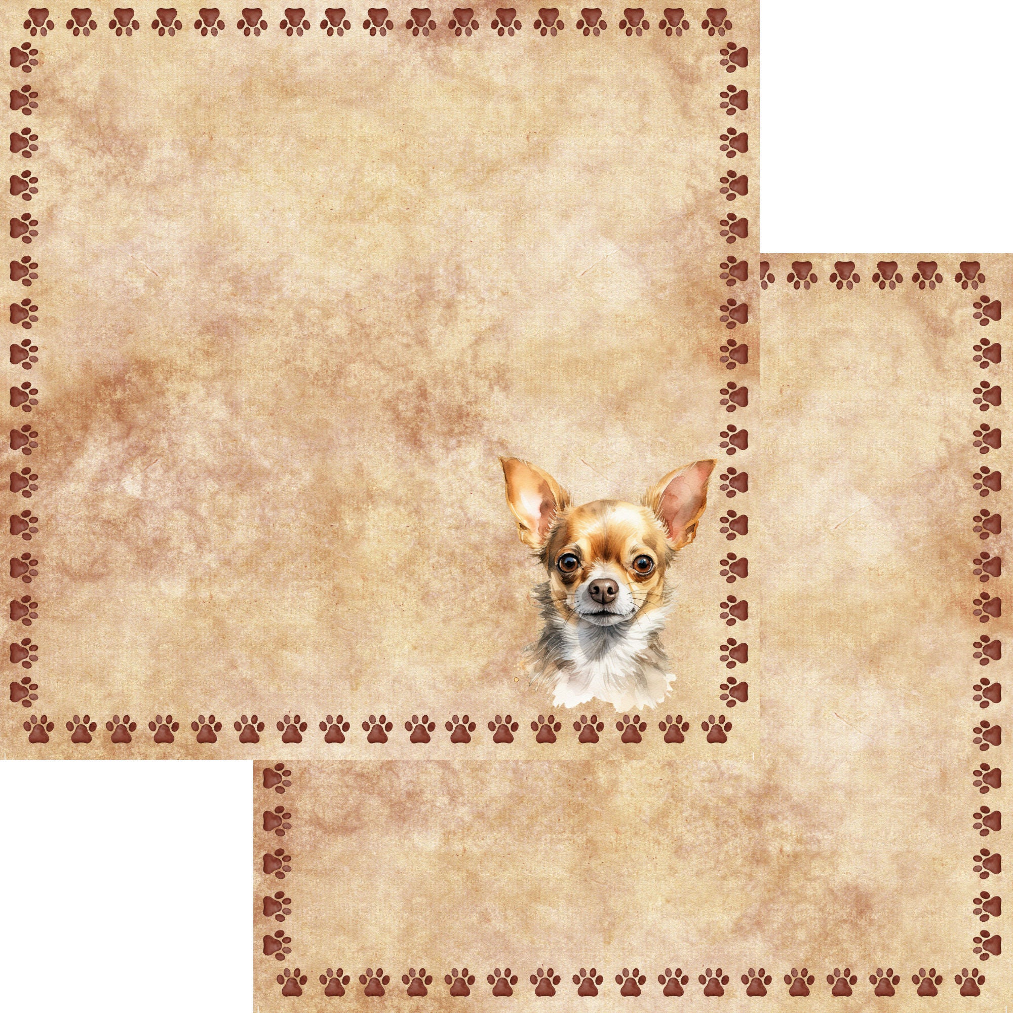 Dog Breeds Collection Chihuaha 12 x 12 Double-Sided Scrapbook Paper by SSC Designs