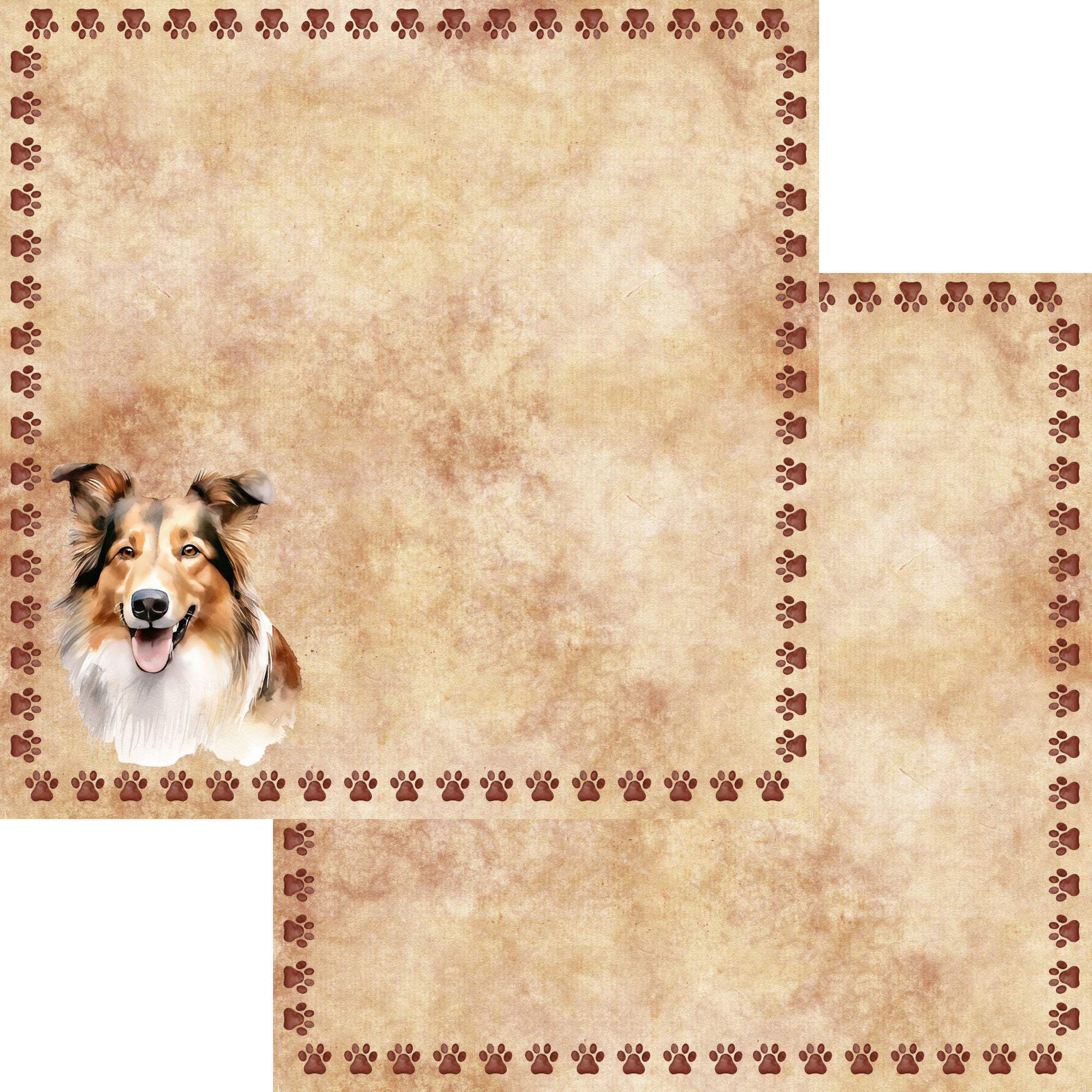 Dog Breeds Collection Collie 12 x 12 Double-Sided Scrapbook Paper by SSC Designs