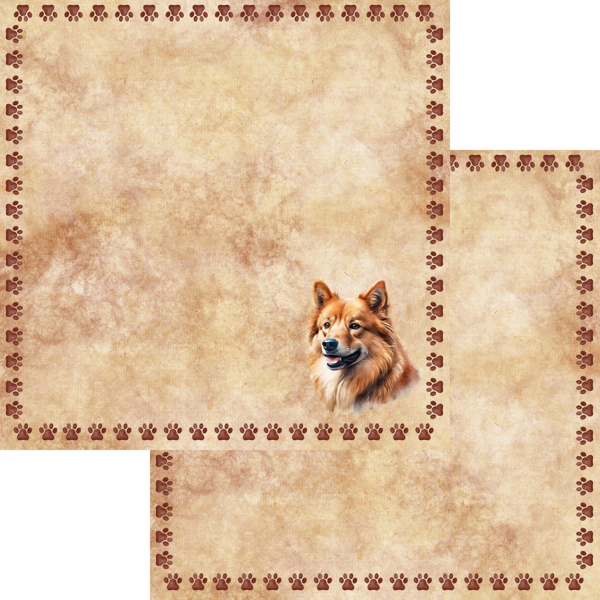 Dog Breeds Collection Corgi 12 x 12 Double-Sided Scrapbook Paper by SSC Designs