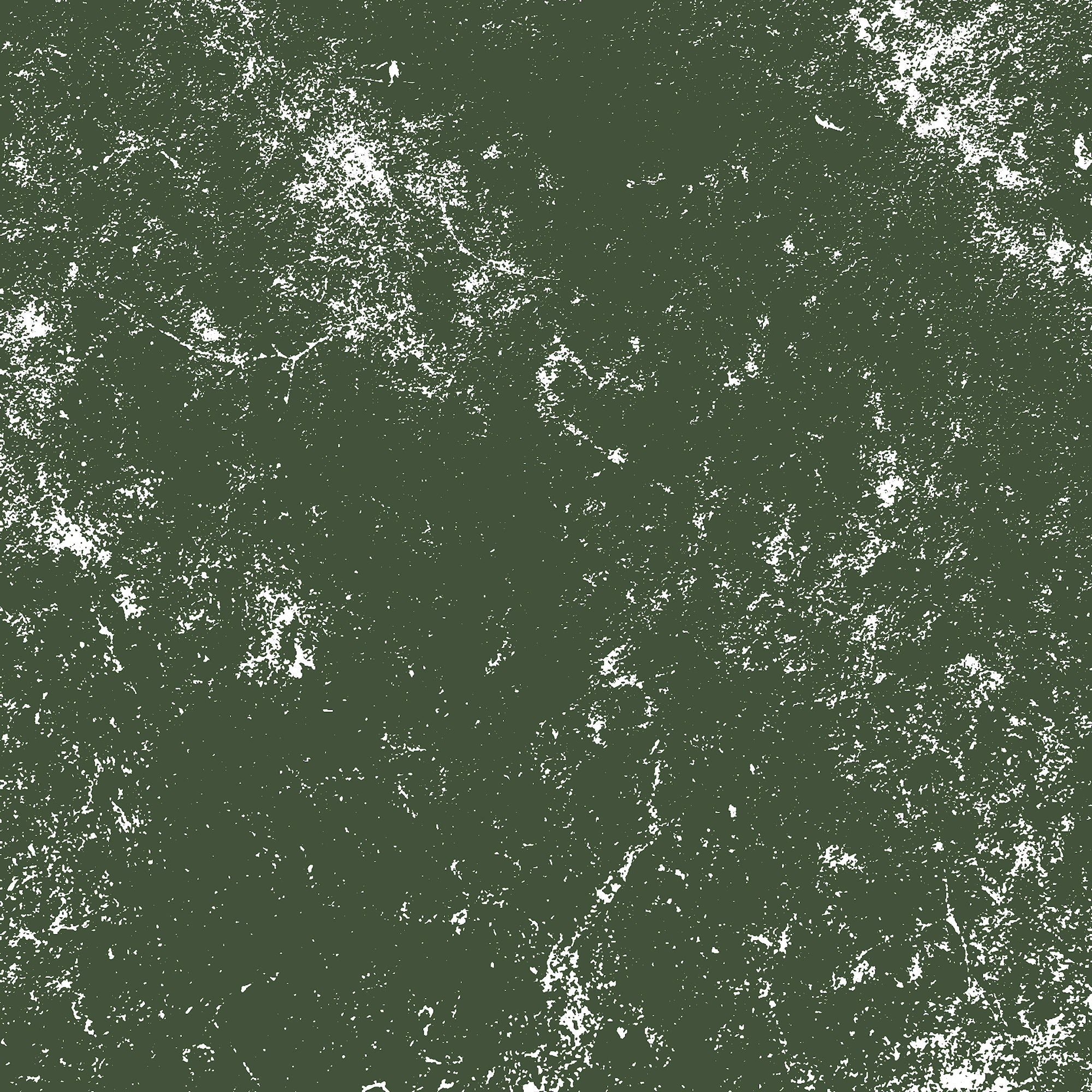 Merry Woofmas  Collection Merry Paws 12 x 12 Double-Sided Scrapbook Paper by SSC Designs