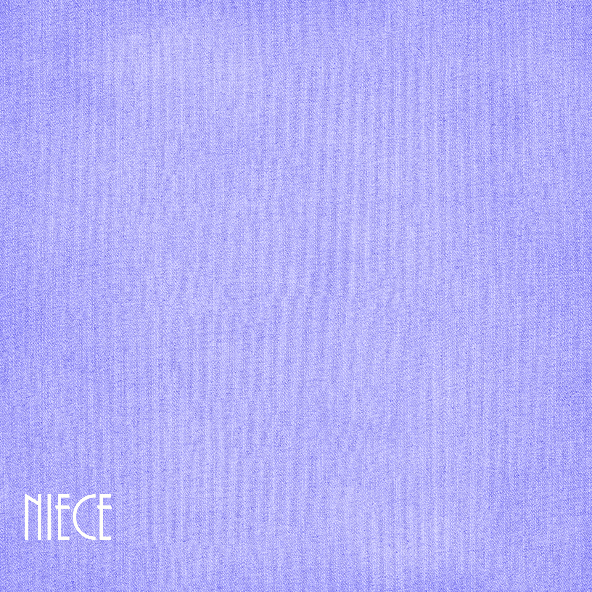 Family Collection Niece 12 x 12 Double-Sided Scrapbook Paper by SSC Designs