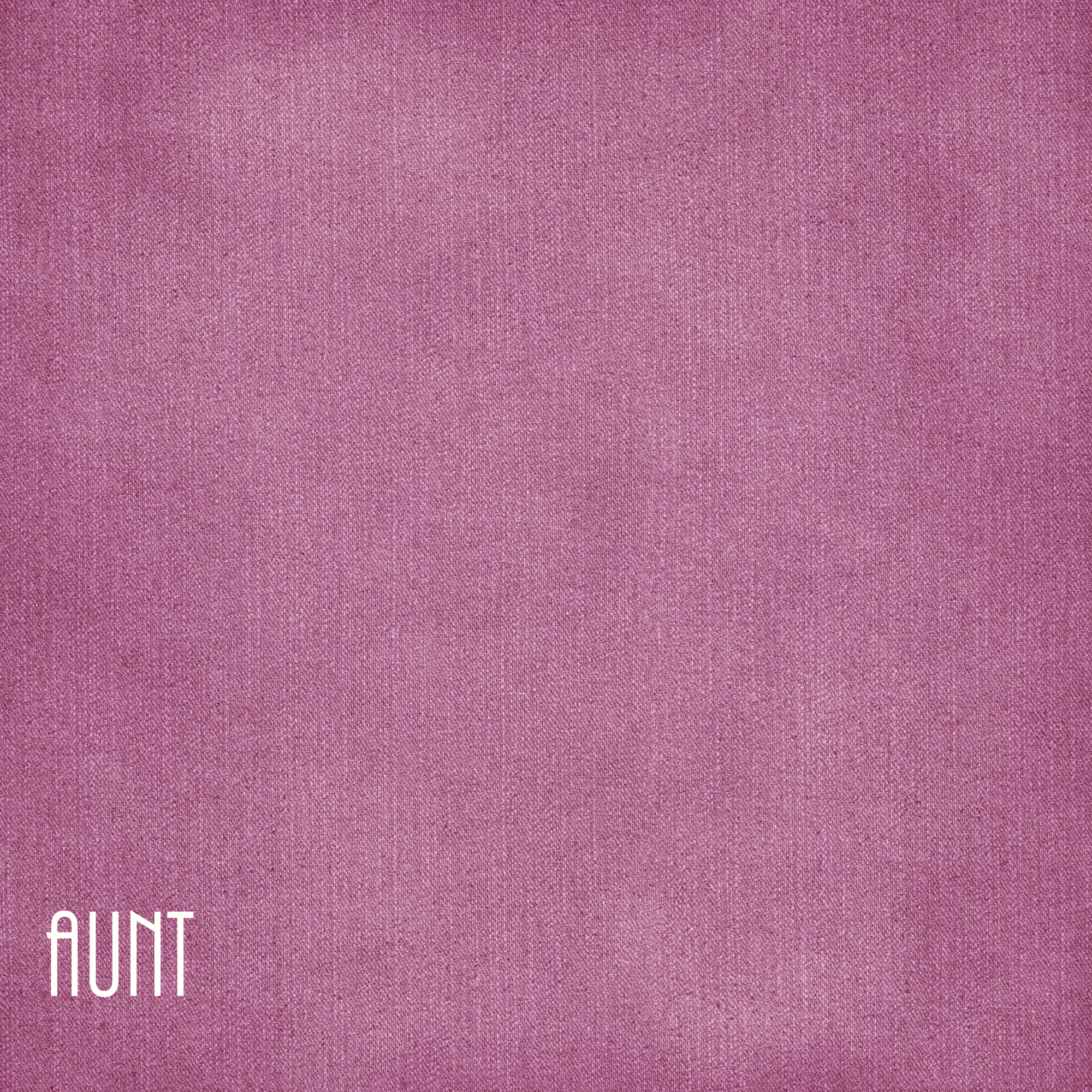 Family Collection Aunt 12 x 12 Double-Sided Scrapbook Paper by SSC Designs
