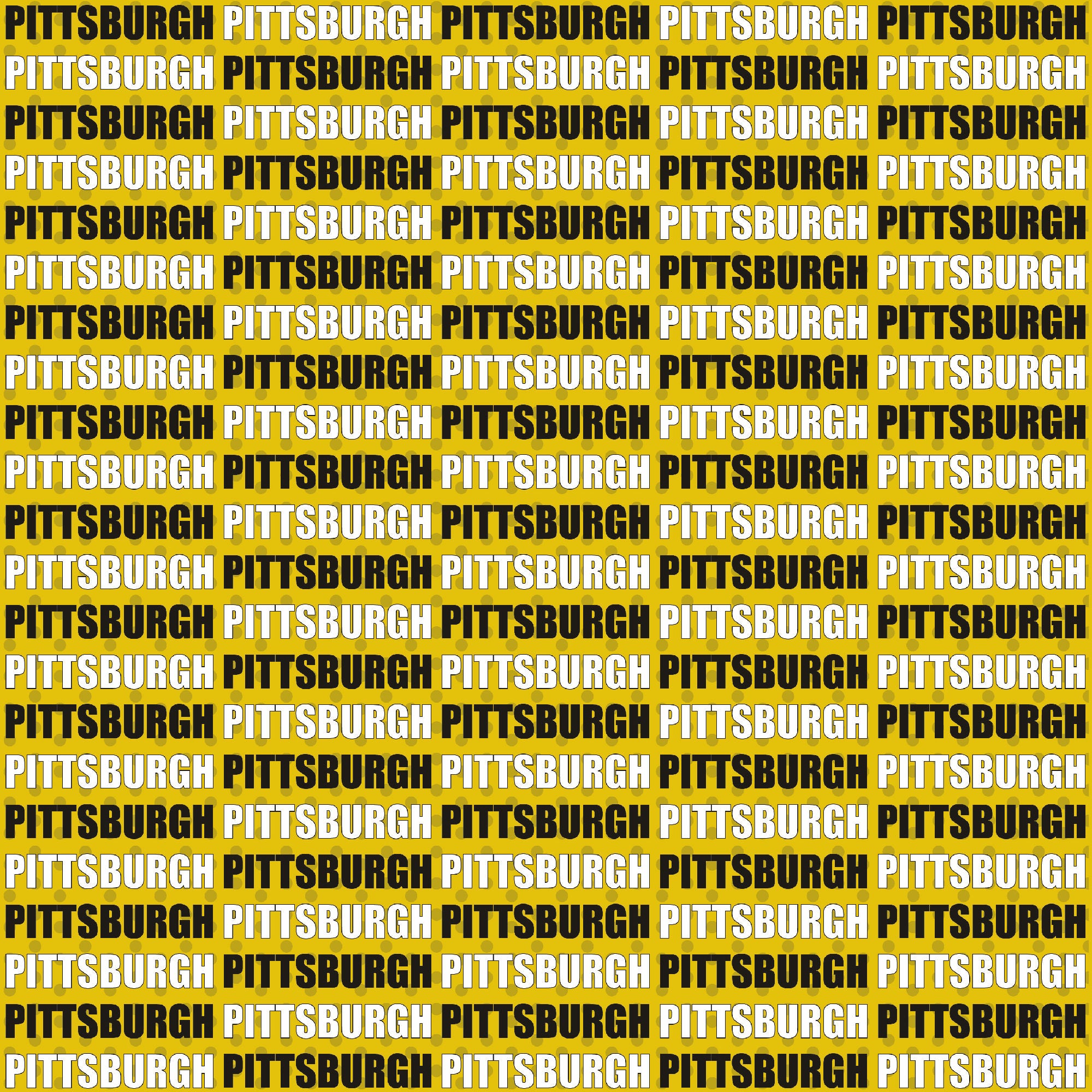 Football Season Collection Pittsburgh On The Field 12 x 12 Double-Sided Scrapbook Paper by SSC Designs