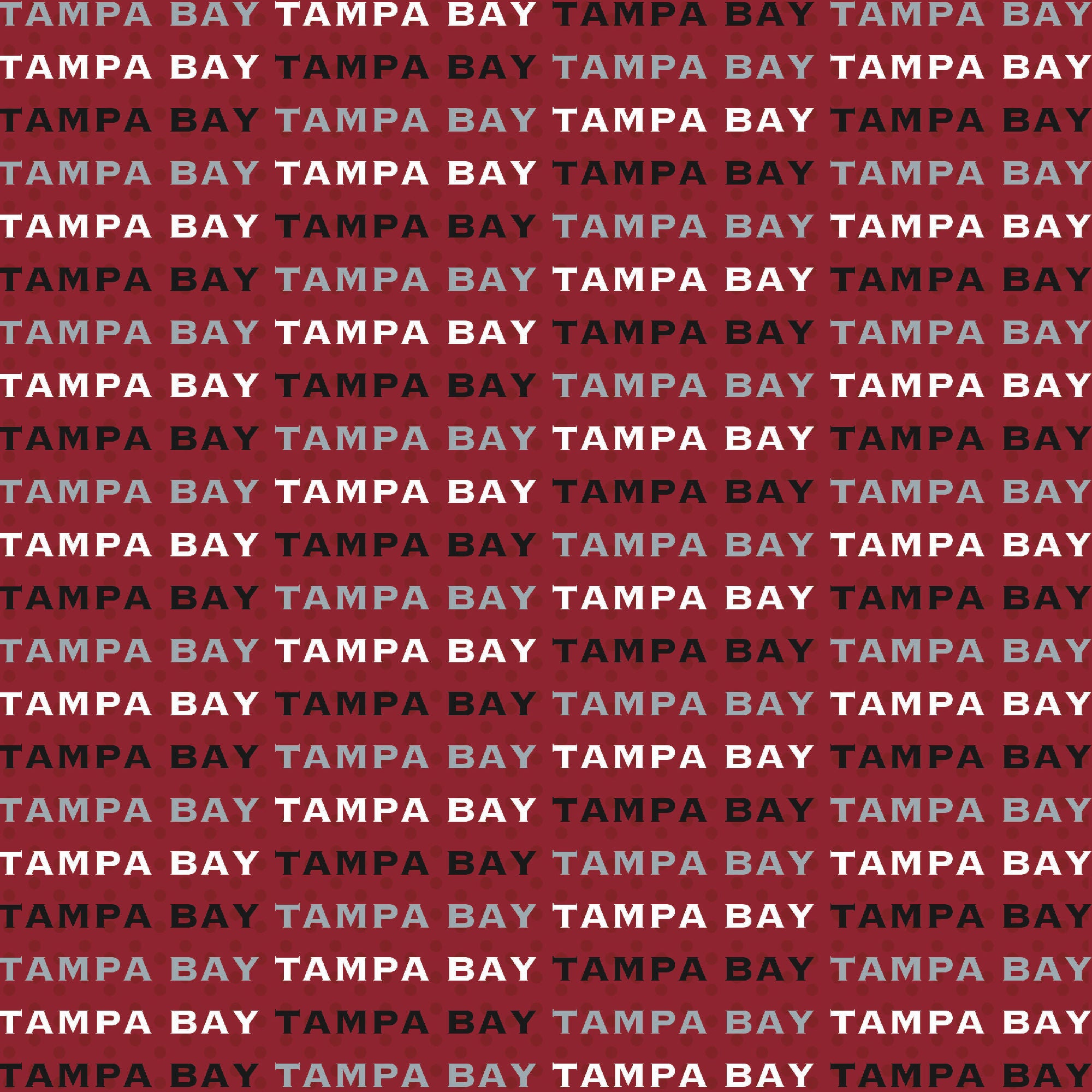 Football Season Collection Tampa Bay On The Field 12 x 12 Double-Sided Scrapbook Paper by SSC Designs