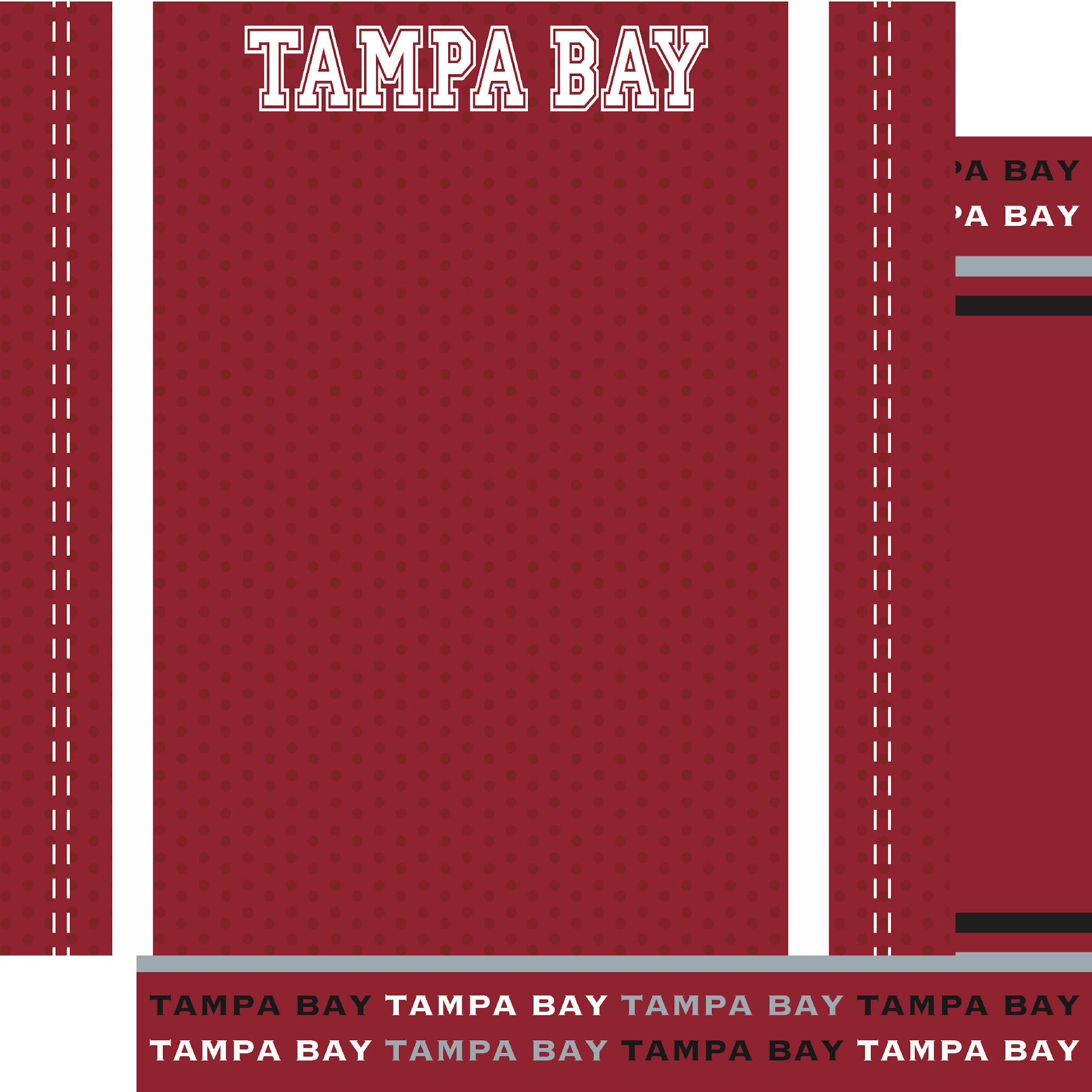 Football Season Collection Tampa Bay City Pride 12 x 12 Double-Sided Scrapbook Paper by SSC Designs