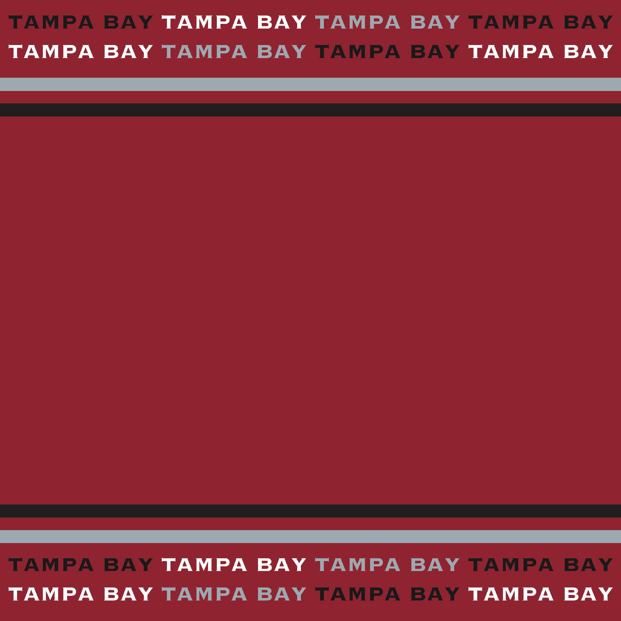 Football Season Collection Tampa Bay City Pride 12 x 12 Double-Sided Scrapbook Paper by SSC Designs