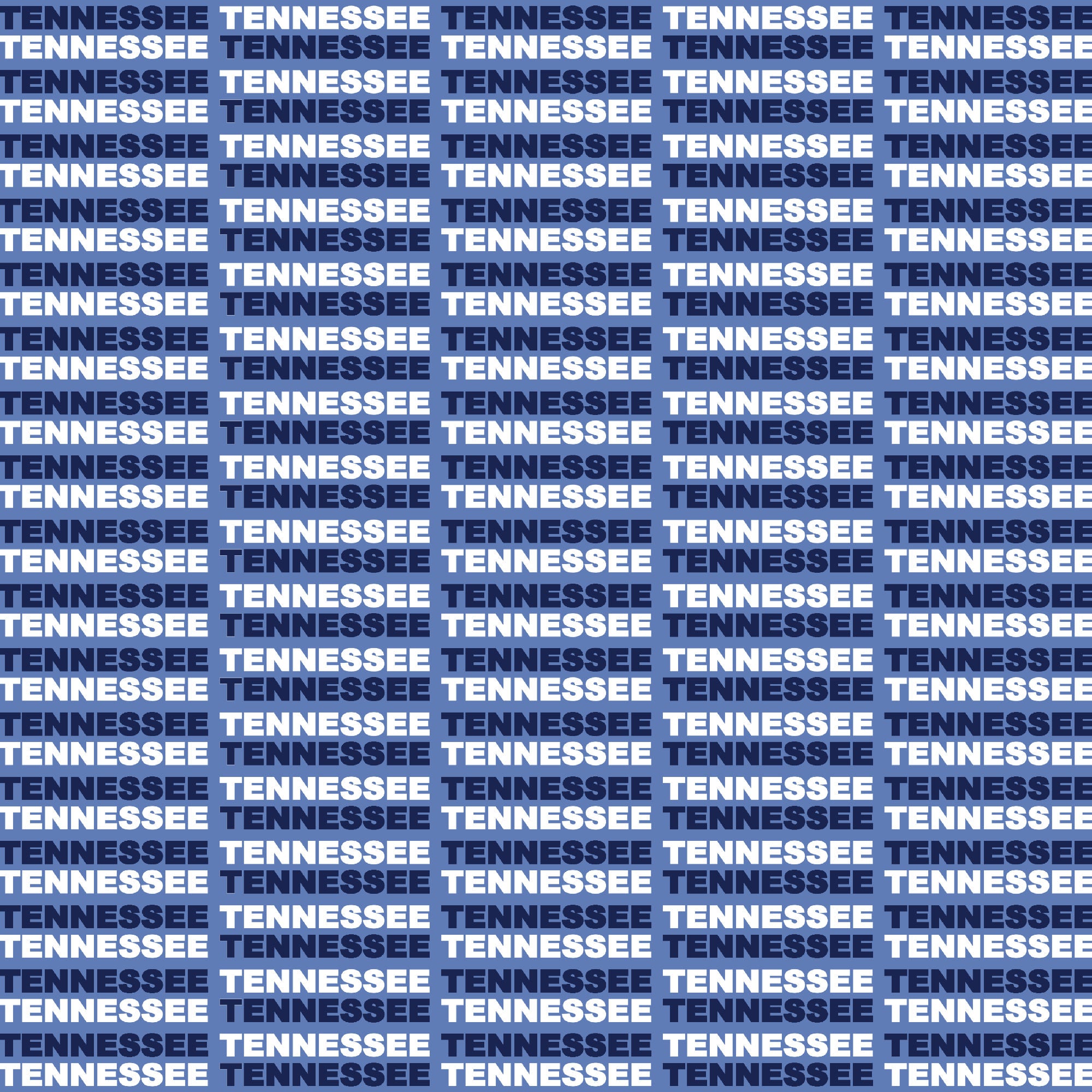 Football Season Collection Tennessee On The Field 12 x 12 Double-Sided Scrapbook Paper by SSC Designs