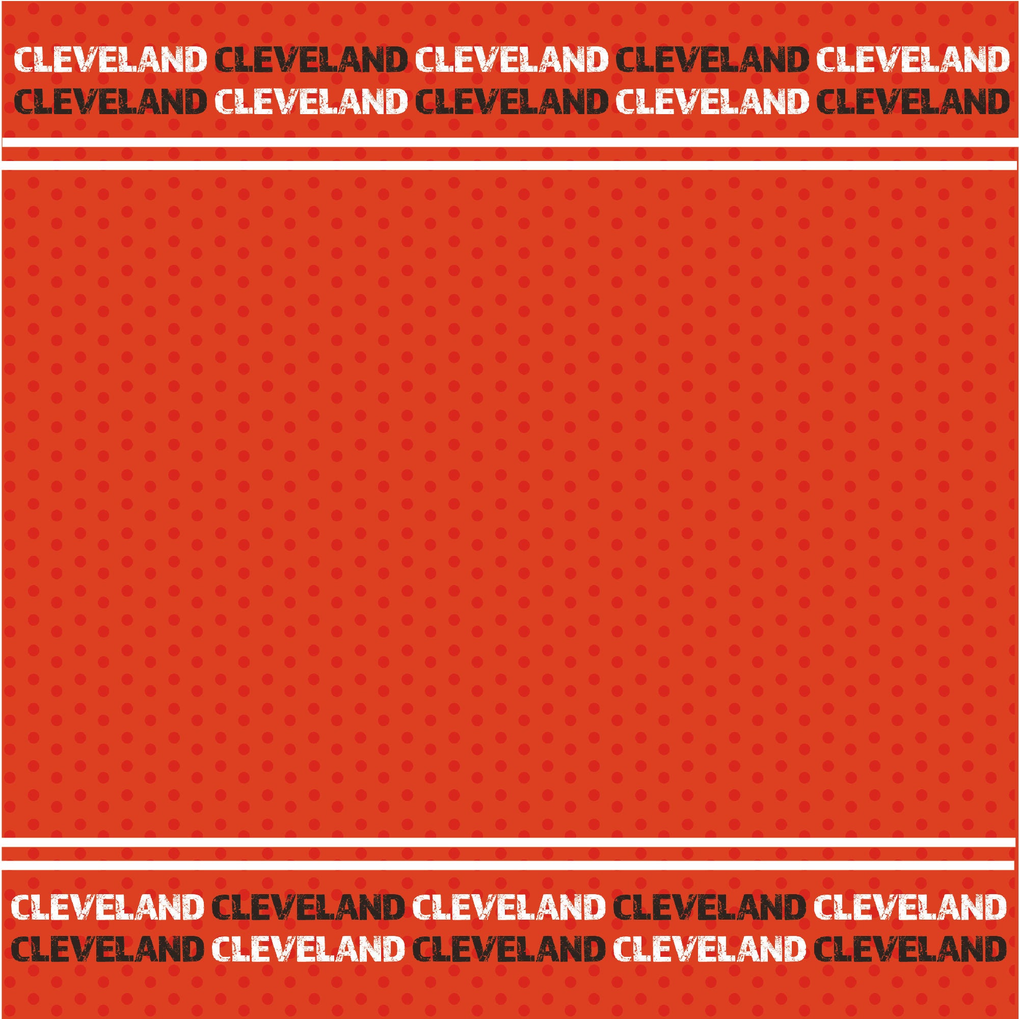 Football Season Collection Cleveland City Pride 12 x 12 Double-Sided Scrapbook Paper by SSC Designs