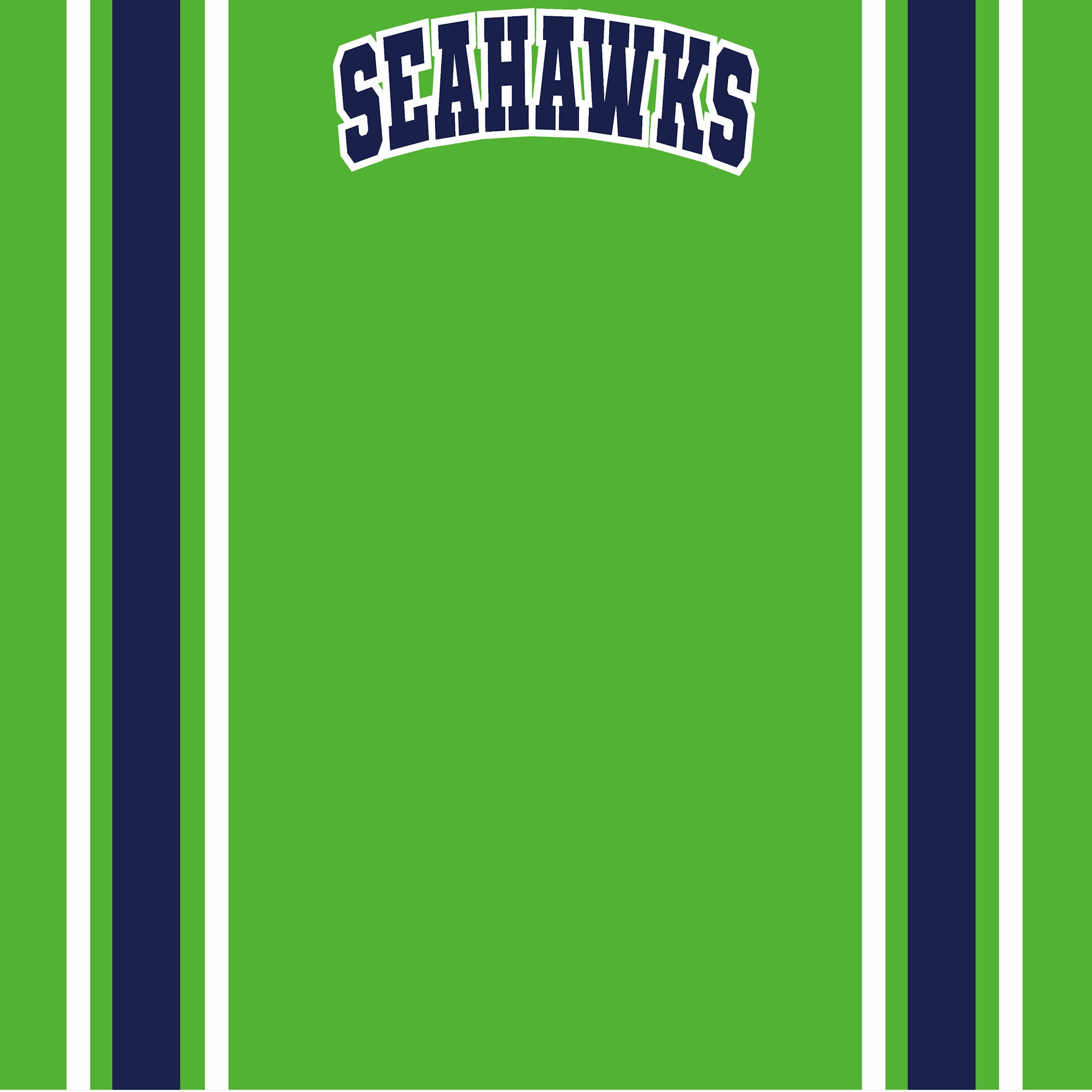 Football Season Collection Seahawks Football Jersey 12 x 12 Double-Sided Scrapbook Paper by SSC Designs