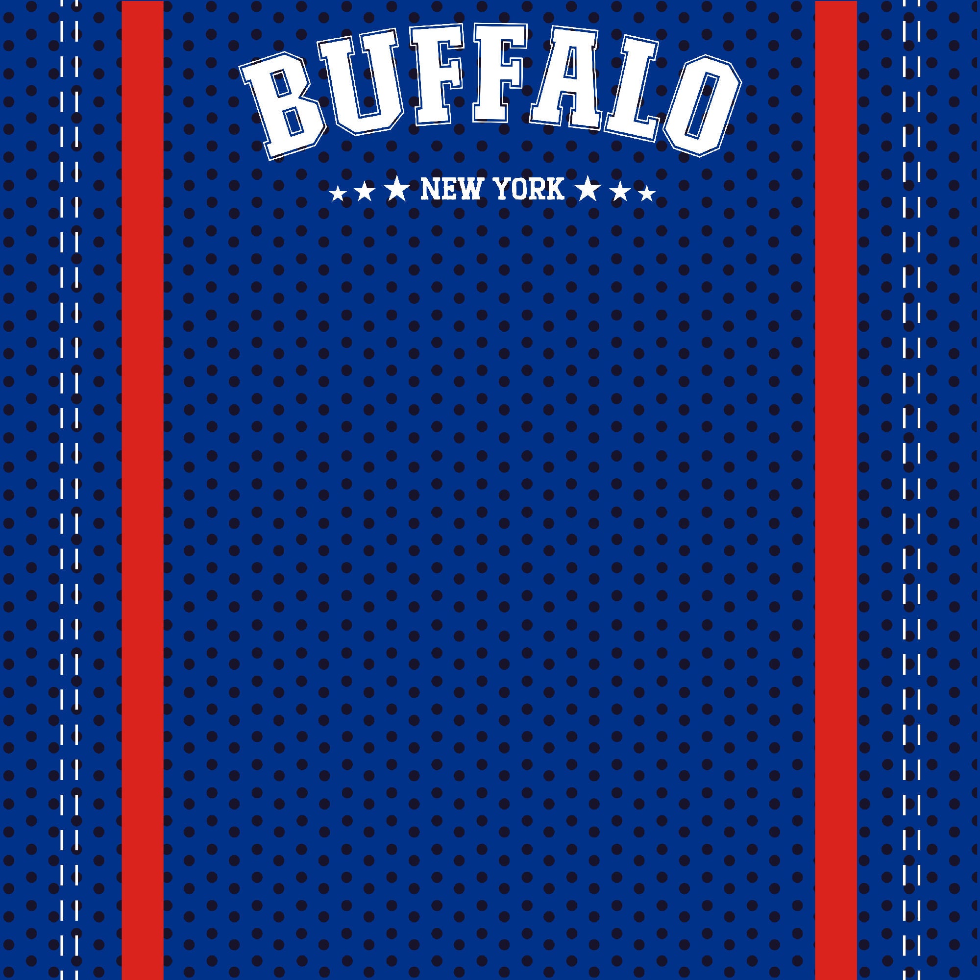 Football Season Collection Buffalo City Pride 12 x 12 Double-Sided Scrapbook Paper by SSC Designs