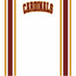 Football Season Collection Cardinals Football Jersey 12 x 12 Double-Sided Scrapbook Paper by SSC Designs