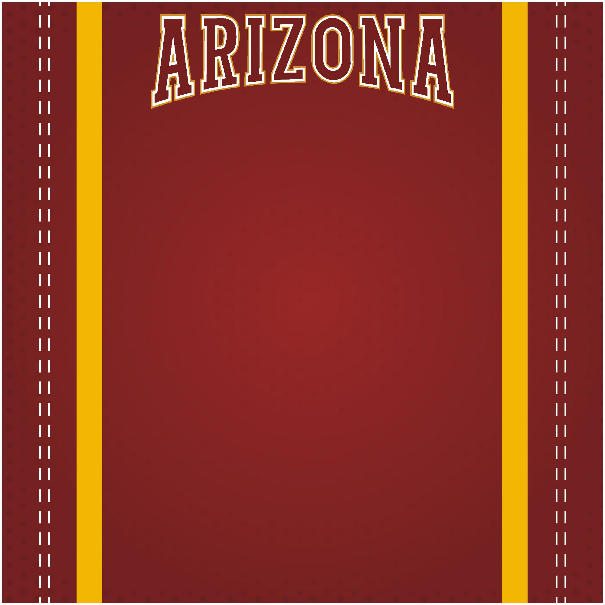 Football Season Collection Arizona City Pride 12 x 12 Double-Sided Scrapbook Paper by SSC Designs
