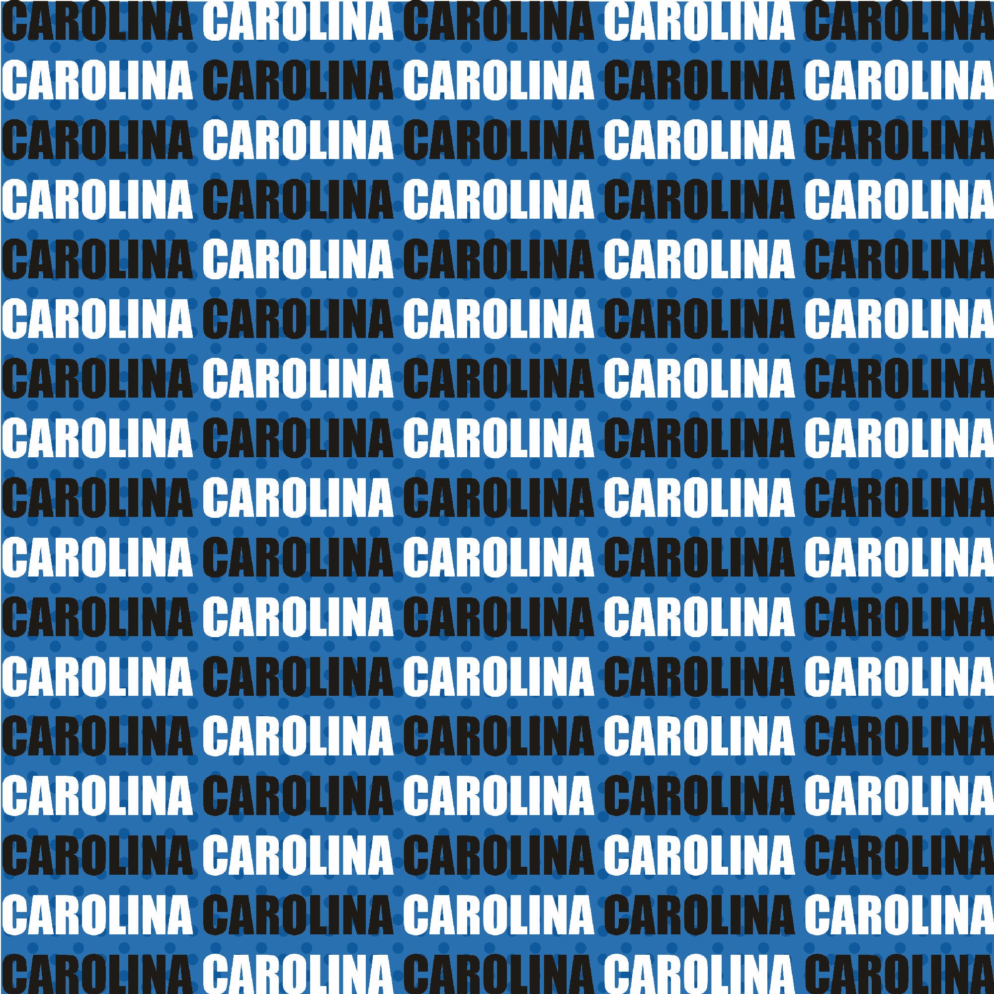 Football Season Collection Carolina On The Field 12 x 12 Double-Sided Scrapbook Paper by SSC Designs