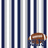 Football Season Collection Colts Sporty Stripes 12 x 12 Double-Sided Scrapbook Paper by SSC Designs