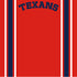 Football Season Collection Texans Football Jersey 12 x 12 Double-Sided Scrapbook Paper by SSC Designs