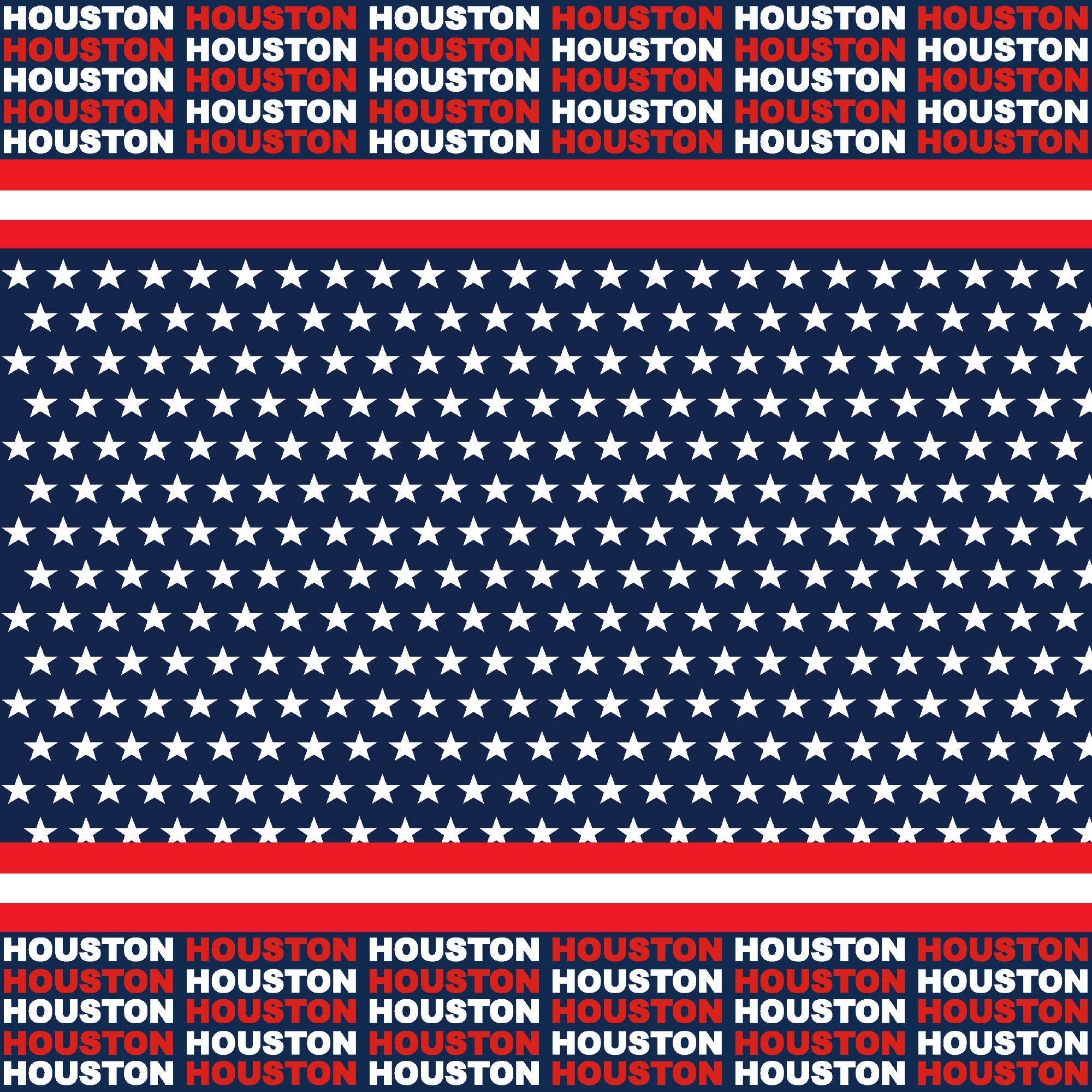 Football Season Collection Houston City Pride 12 x 12 Double-Sided Scrapbook Paper by SSC Designs
