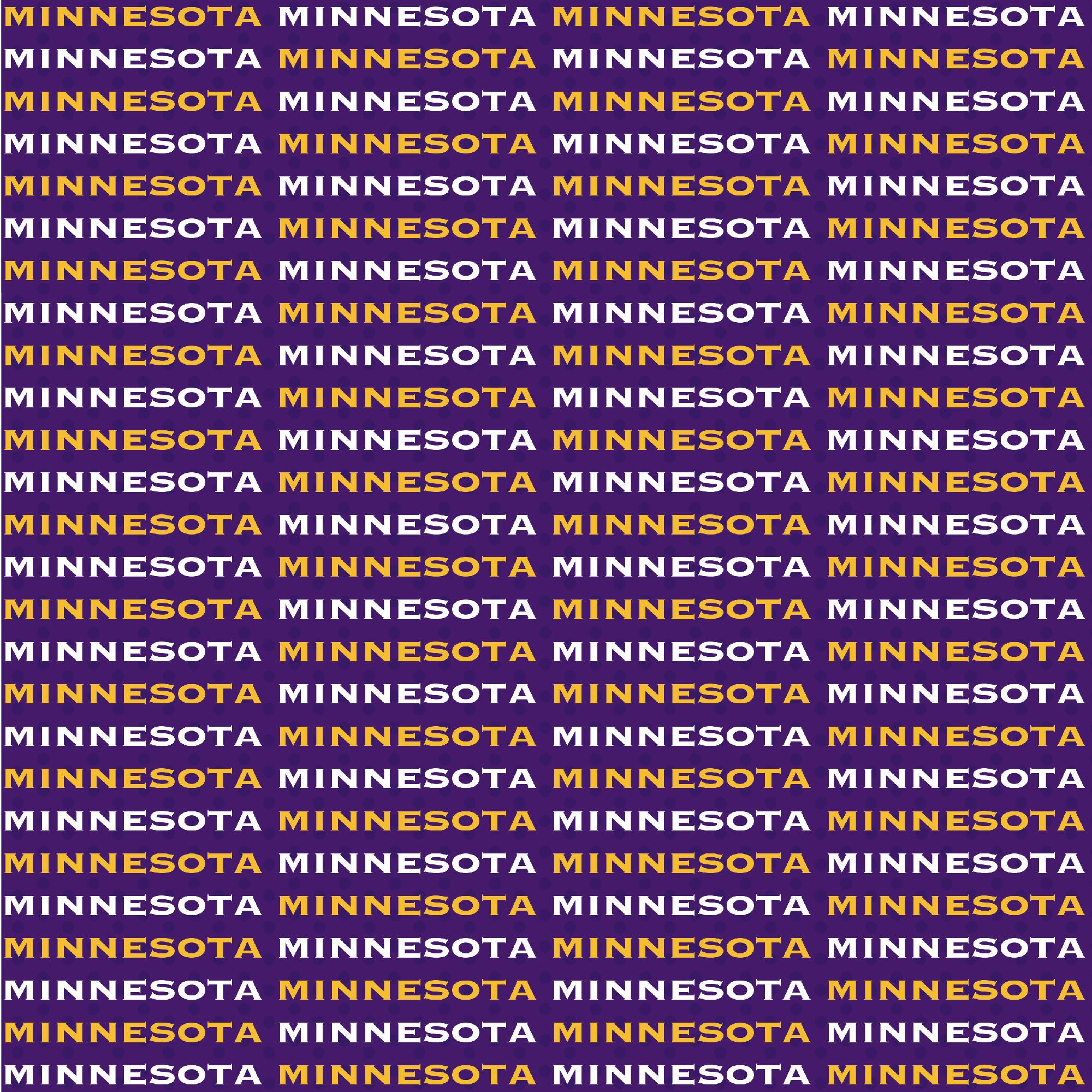 Football Season Collection Minnesota On The Field 12 x 12 Double-Sided Scrapbook Paper by SSC Designs