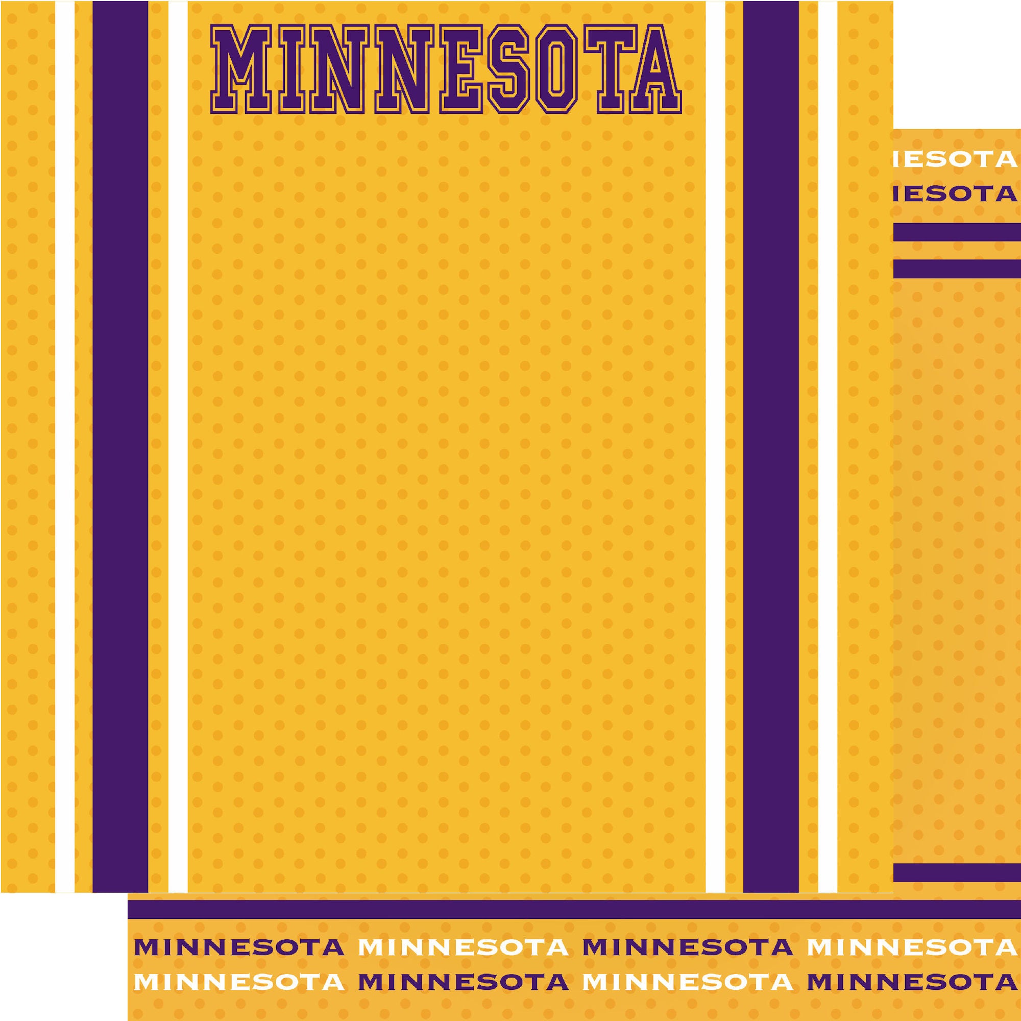 Football Season Collection Minnesota City Pride 12 x 12 Double-Sided Scrapbook Paper by SSC Designs