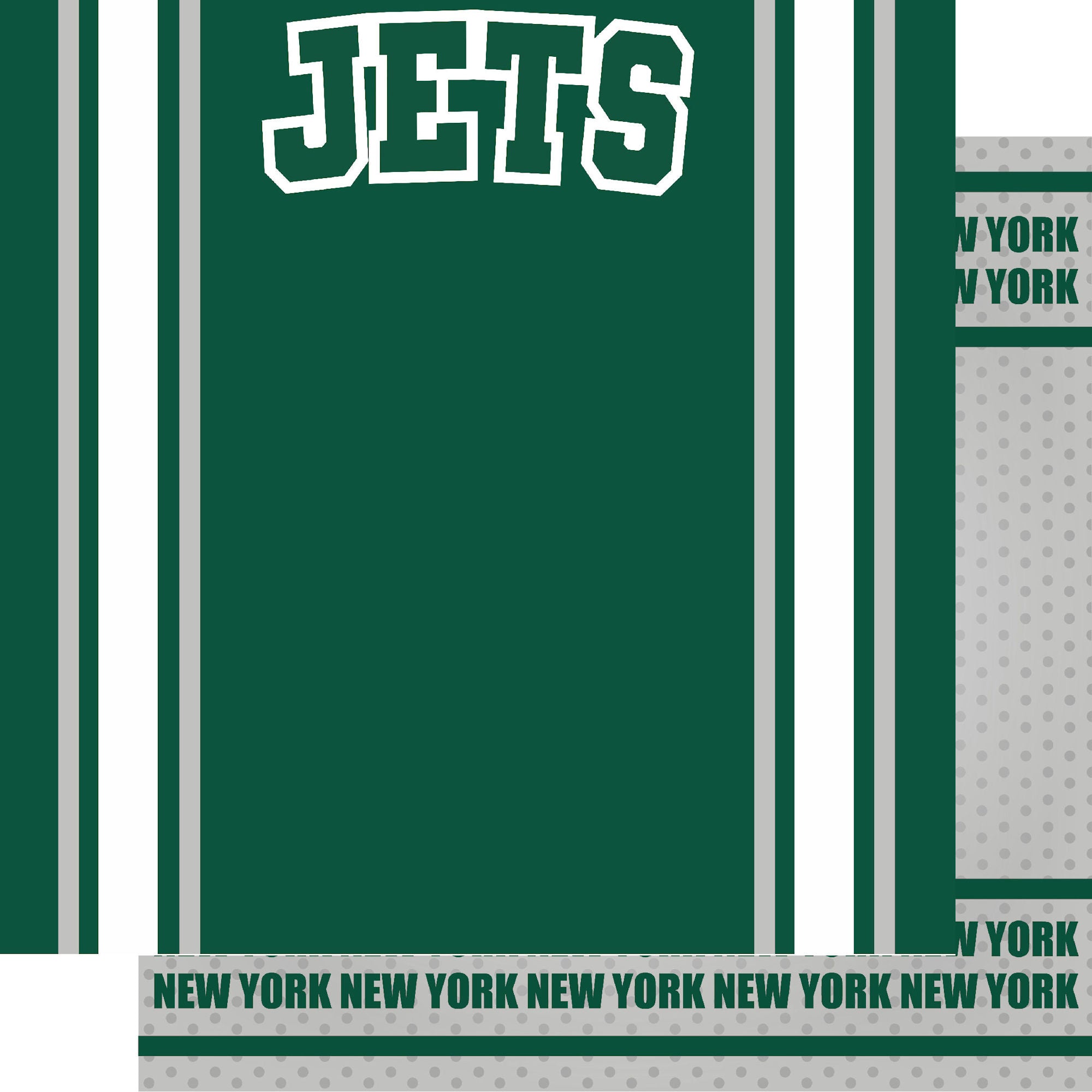 Football Season Collection Eagles Football Jersey 12 x 12 Double-Sided Scrapbook Paper by SSC Designs