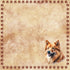 Dog Breeds Collection Finnish Spitz 12 x 12 Double-Sided Scrapbook Paper by SSC Designs