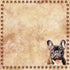 Dog Breeds Collection French Bulldog 12 x 12 Double-Sided Scrapbook Paper by SSC Designs