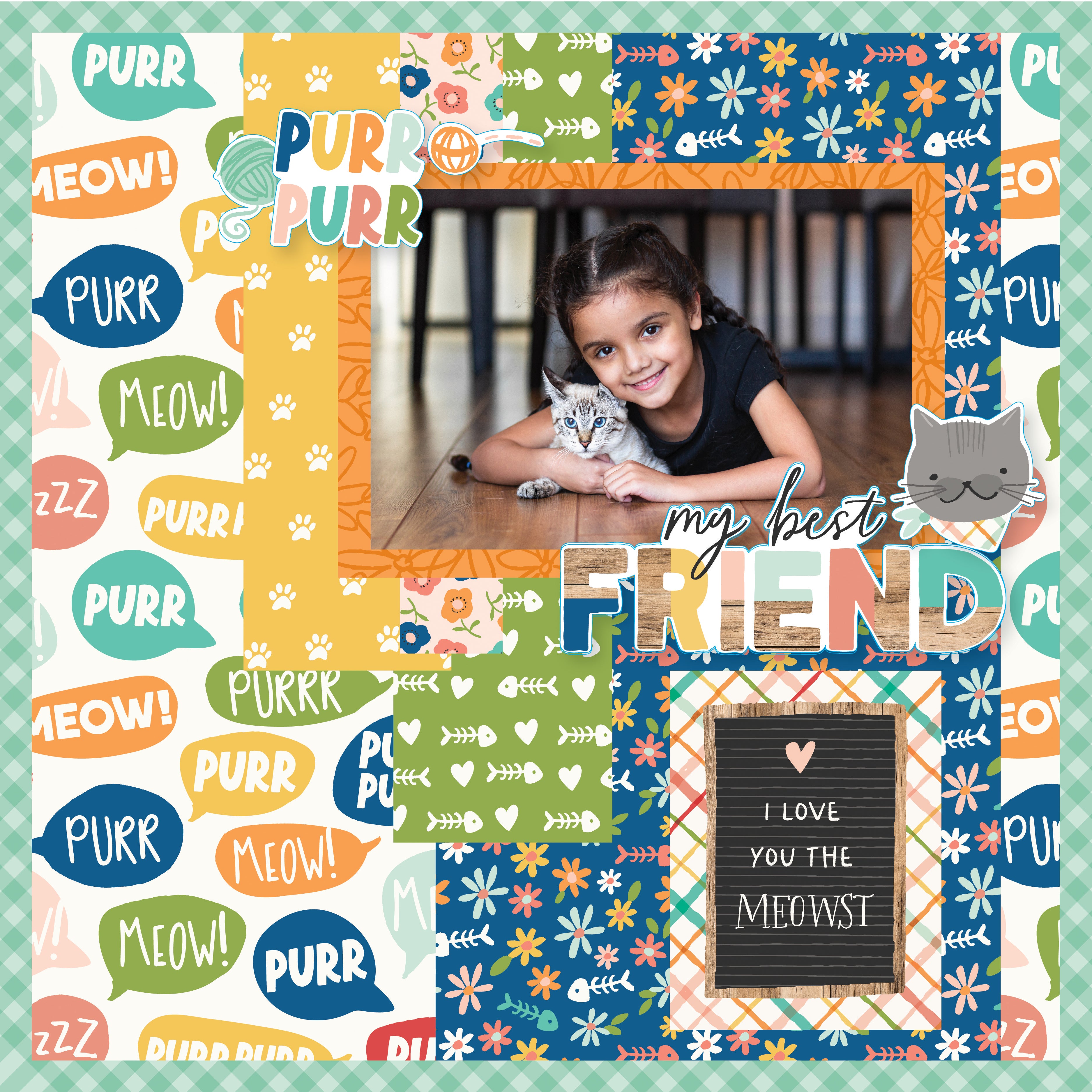 Fur Baby Collection Cat Elements 12 x 12 Double-Sided Scrapbook Paper by Simple Stories