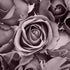 Gone But Not Forgotten Collection Eternal Embrace 12 x 12 Double-Sided Scrapbook Paper by SSC Designs