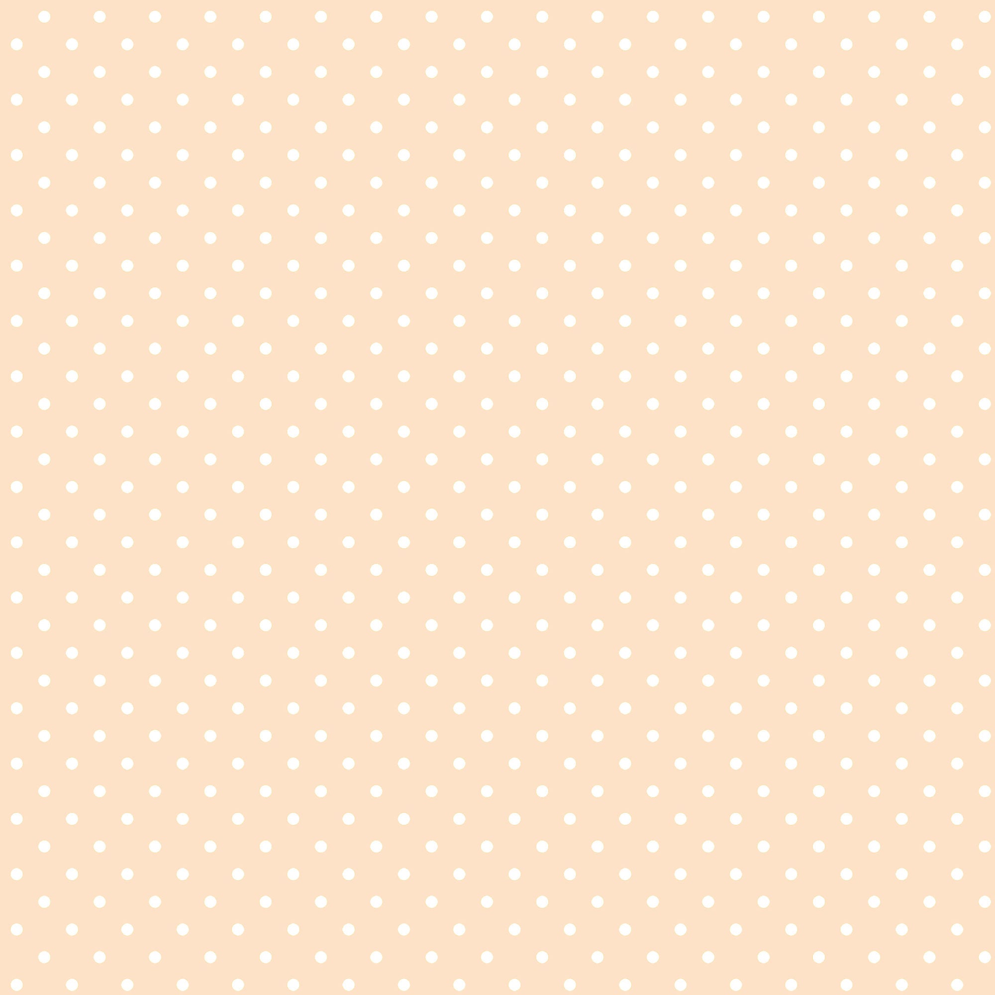 Give Thanks Collection Thankful Rainbows 12 x 12 Double-Sided Scrapbook Paper by SSC Designs
