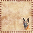 Dog Breeds Collection German Shepherd 12 x 12 Double-Sided Scrapbook Paper by SSC Designs