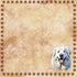 Dog Breeds Collection Great Pyrenees 12 x 12 Double-Sided Scrapbook Paper by SSC Designs