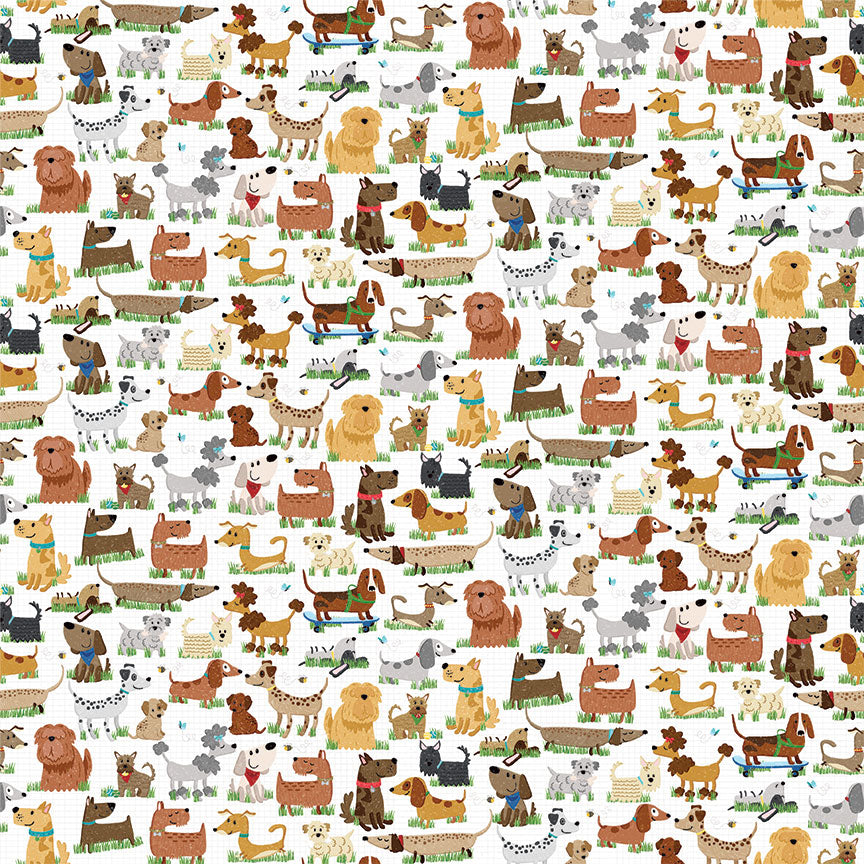Hot Diggity Dog Collection Dog Park Friends 12 x 12 Double-Sided Scrapbook Paper by Photo Play Paper