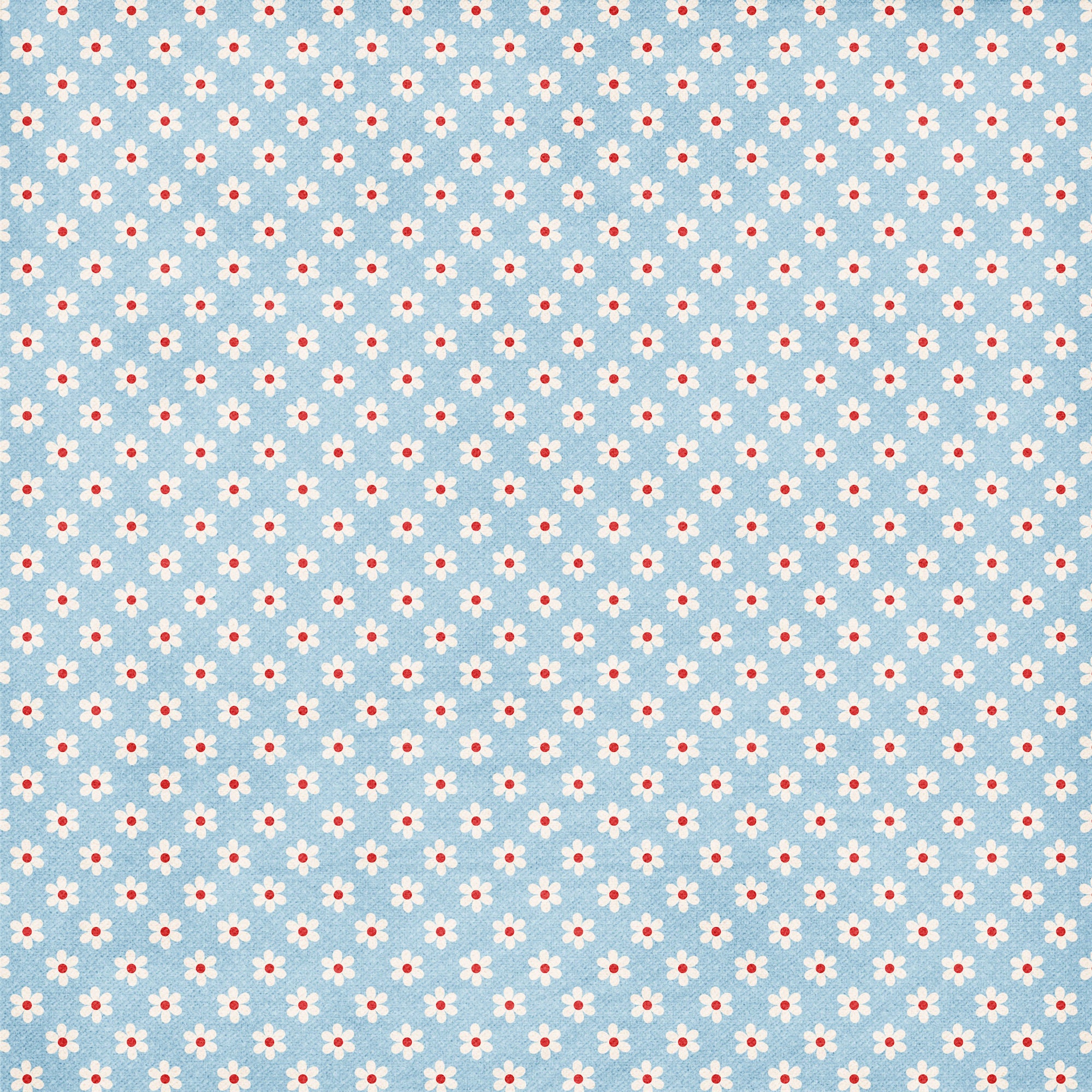 Inspired By Collection Raggedy Dolls 12 x 12 Double-Sided Scrapbook Paper by SSC Designs