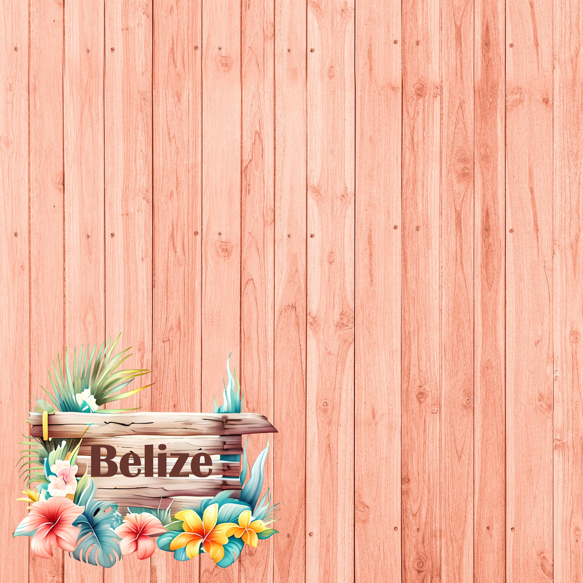 Island Life Collection Belize 12 x 12 Double-Sided Scrapbook Paper by SSC Designs