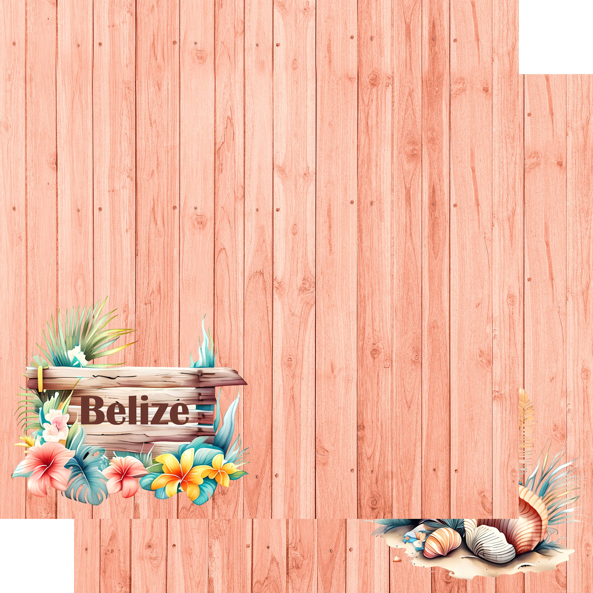 Island Life Collection Belize 12 x 12 Double-Sided Scrapbook Paper by SSC Designs