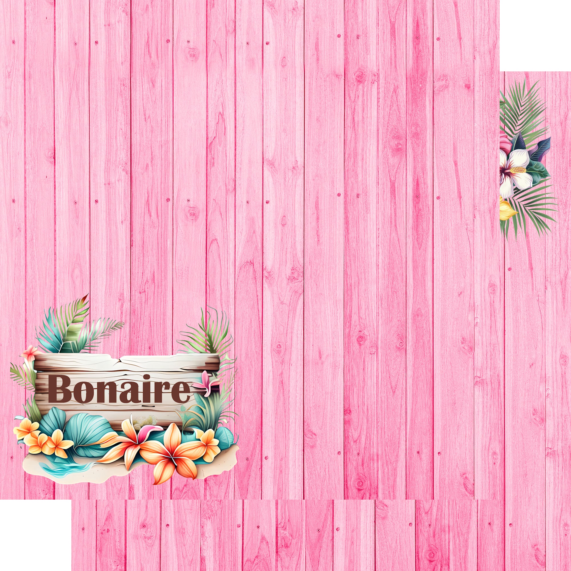 Island Life Collection Bonaire 12 x 12 Double-Sided Scrapbook Paper by SSC Designs