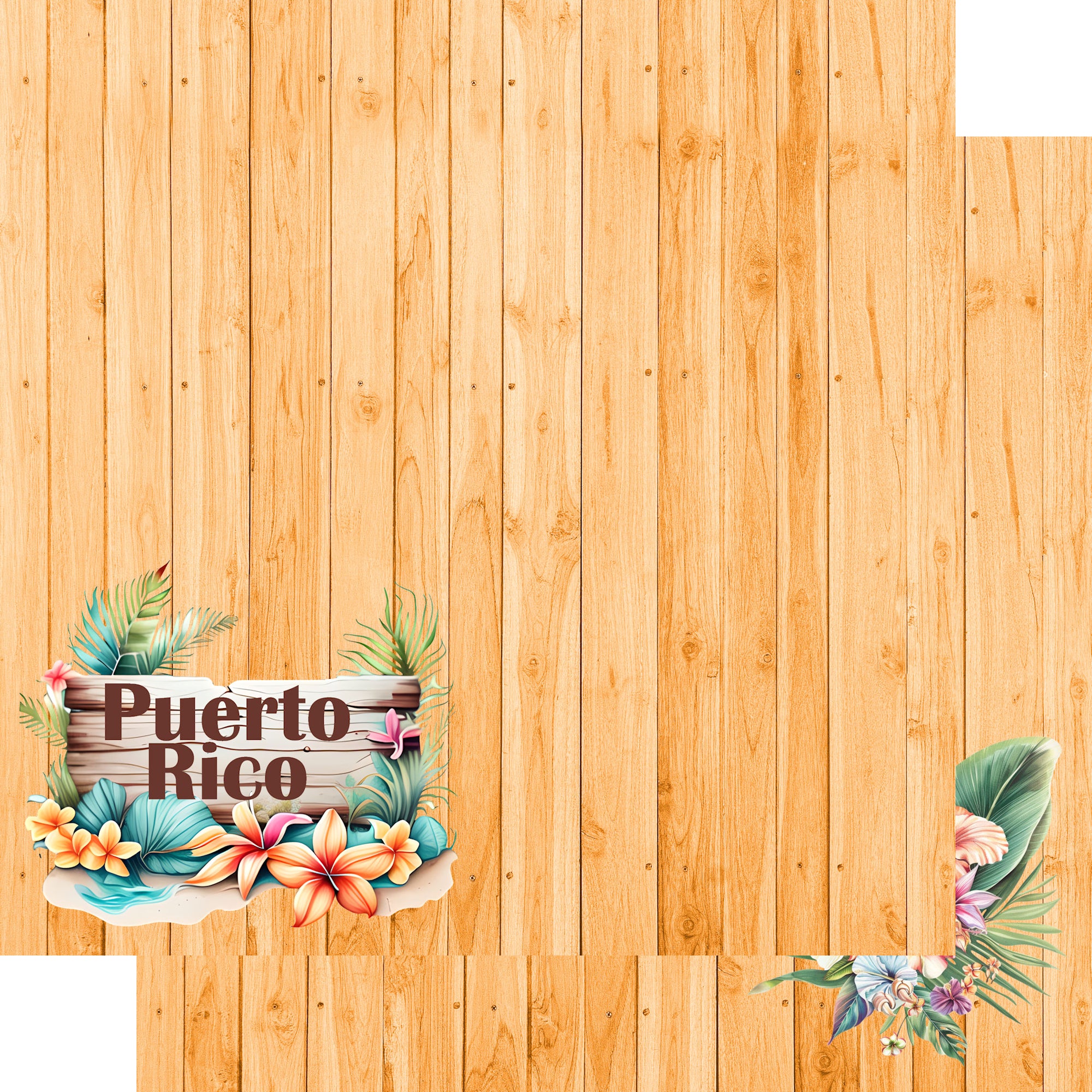 Island Life Collection Puerto Rico 12 x 12 Double-Sided Scrapbook Paper by SSC Designs